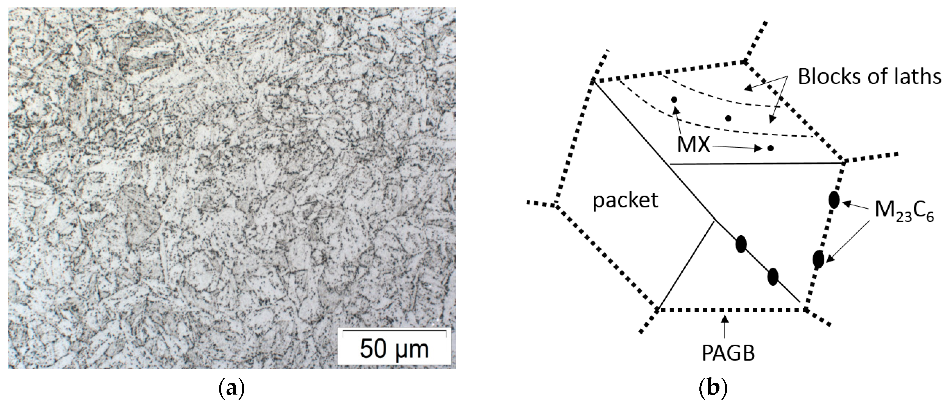 Metals 09 00099 g001