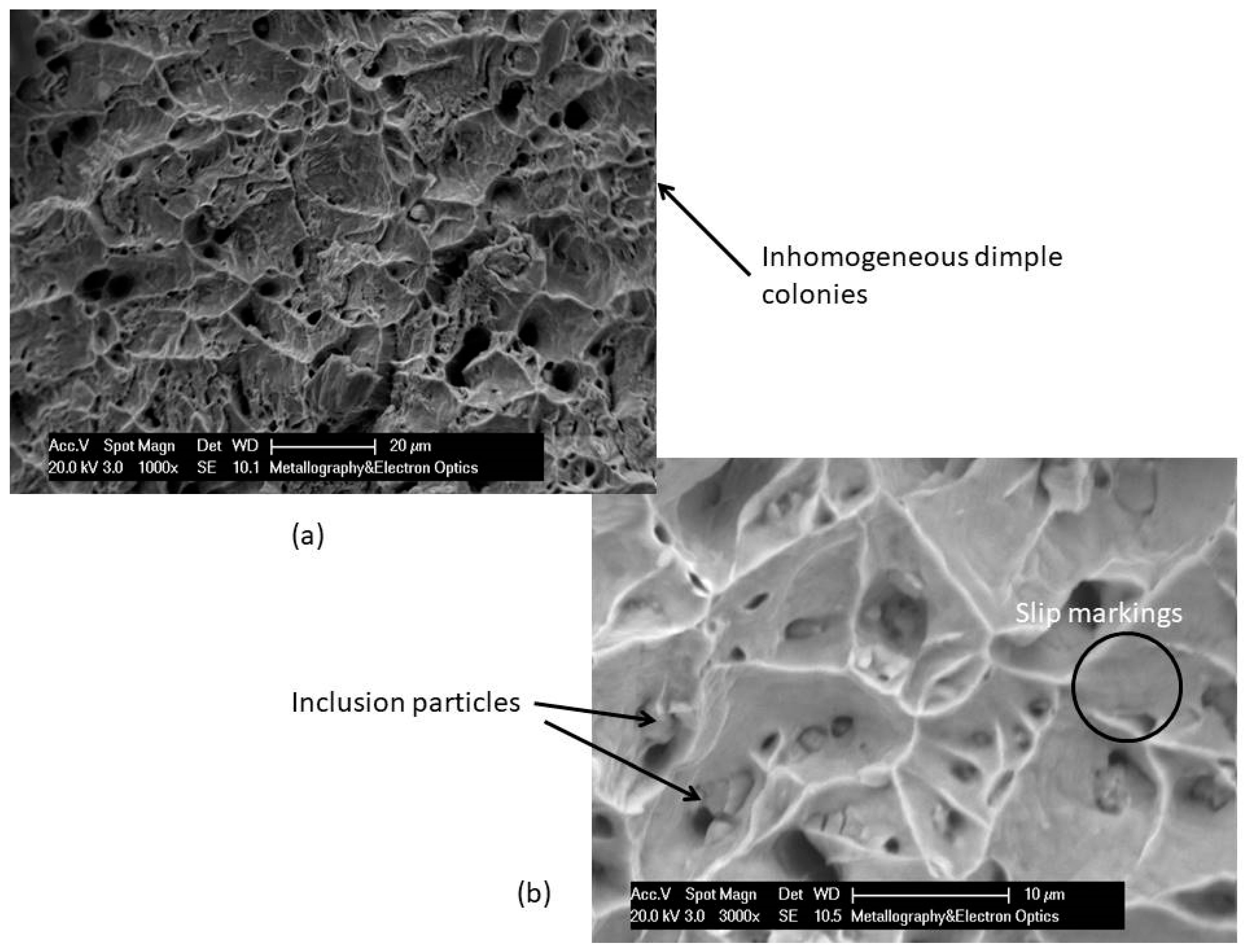 Metals 09 00148 g001