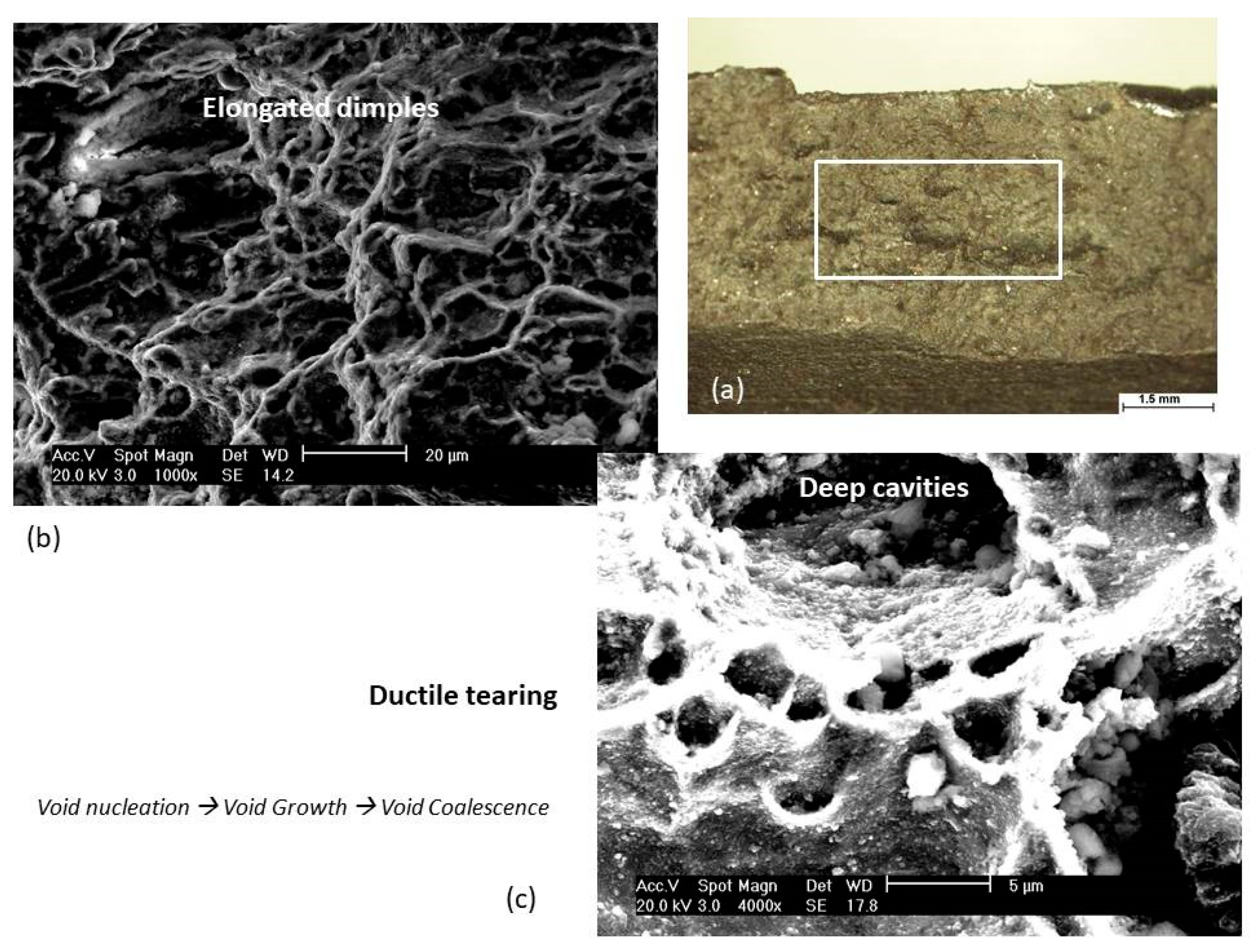 Metals 09 00148 g006a