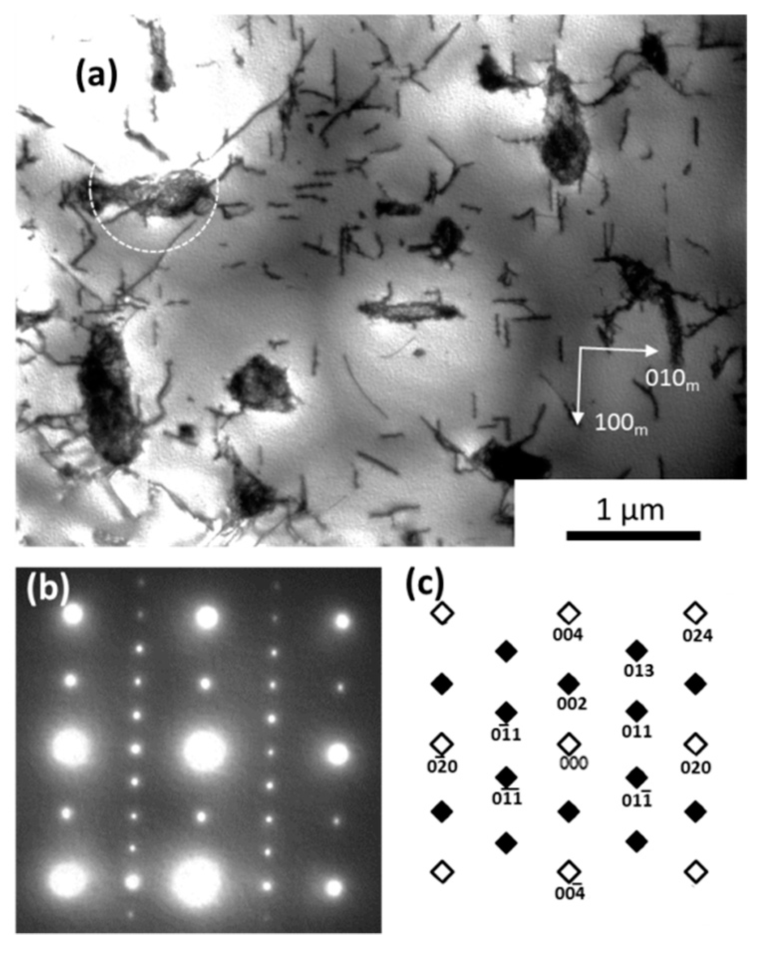 Metals 09 00160 g003 550