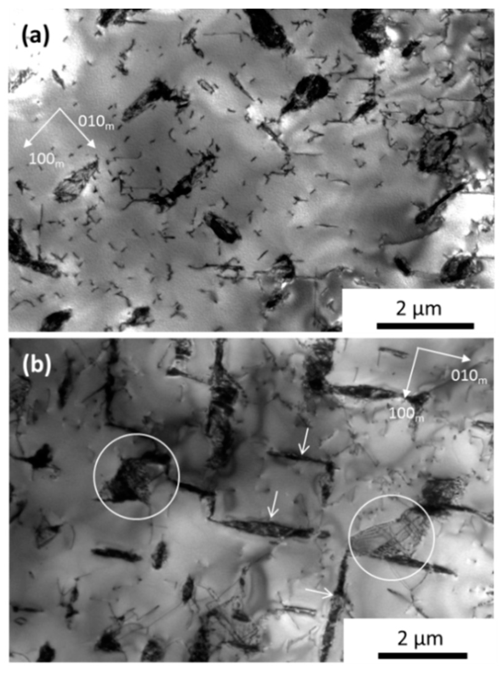 Metals 09 00160 g004 550