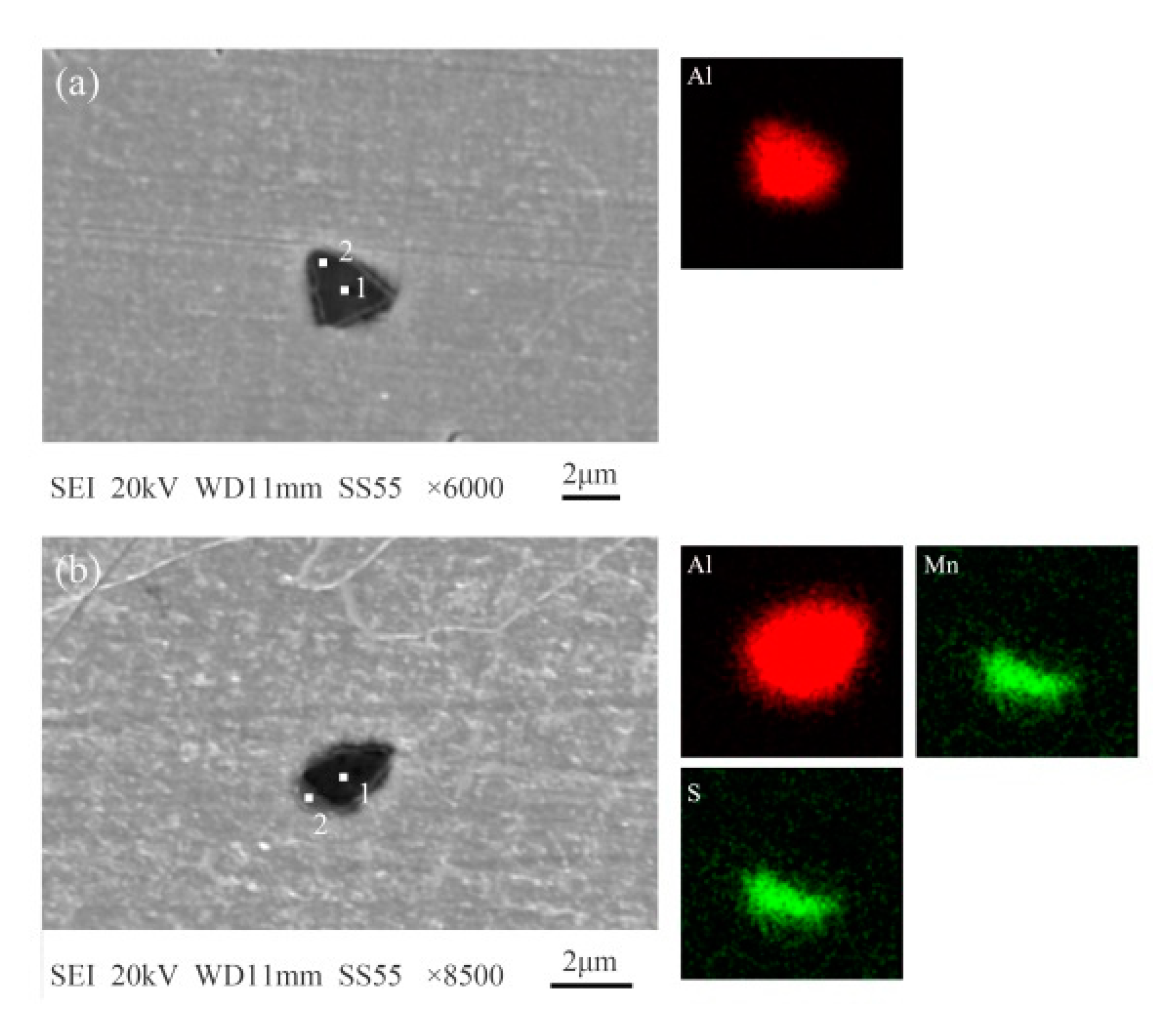 Metals 09 00171 g007 550