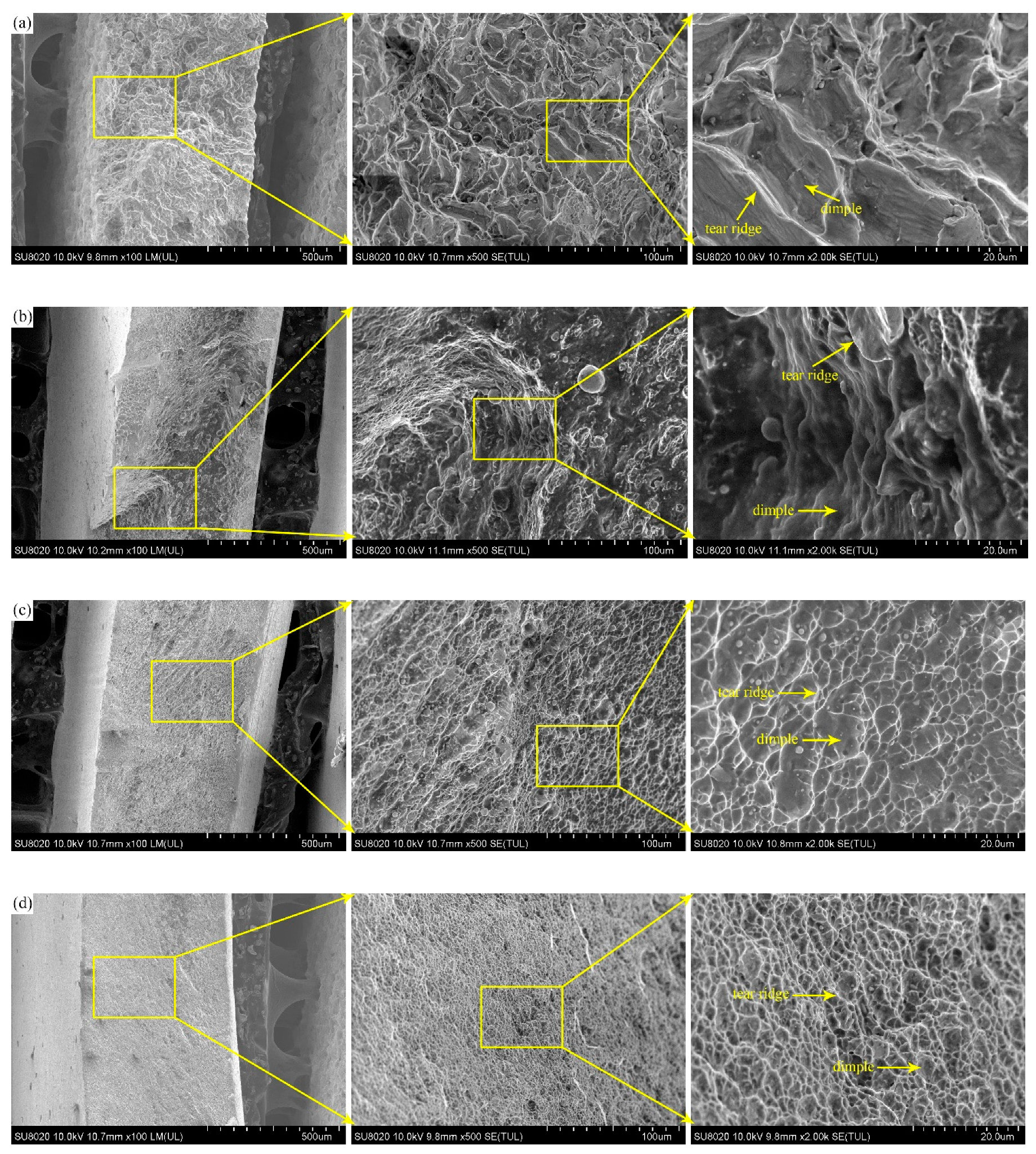 Metals 09 00175 g010