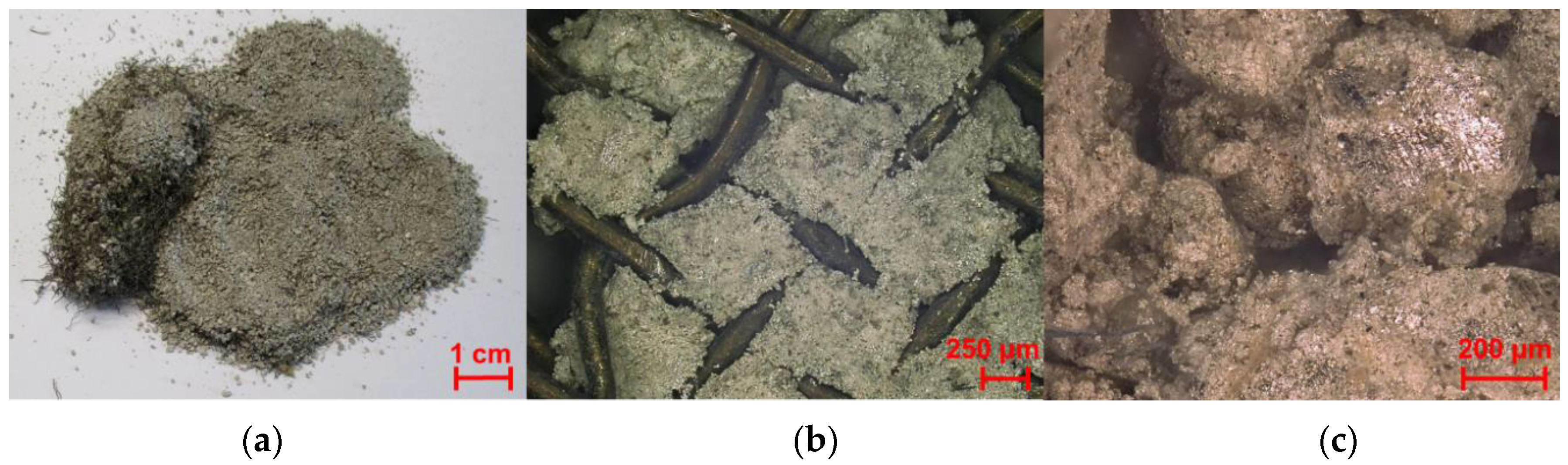 Metals 09 00187 g002 550