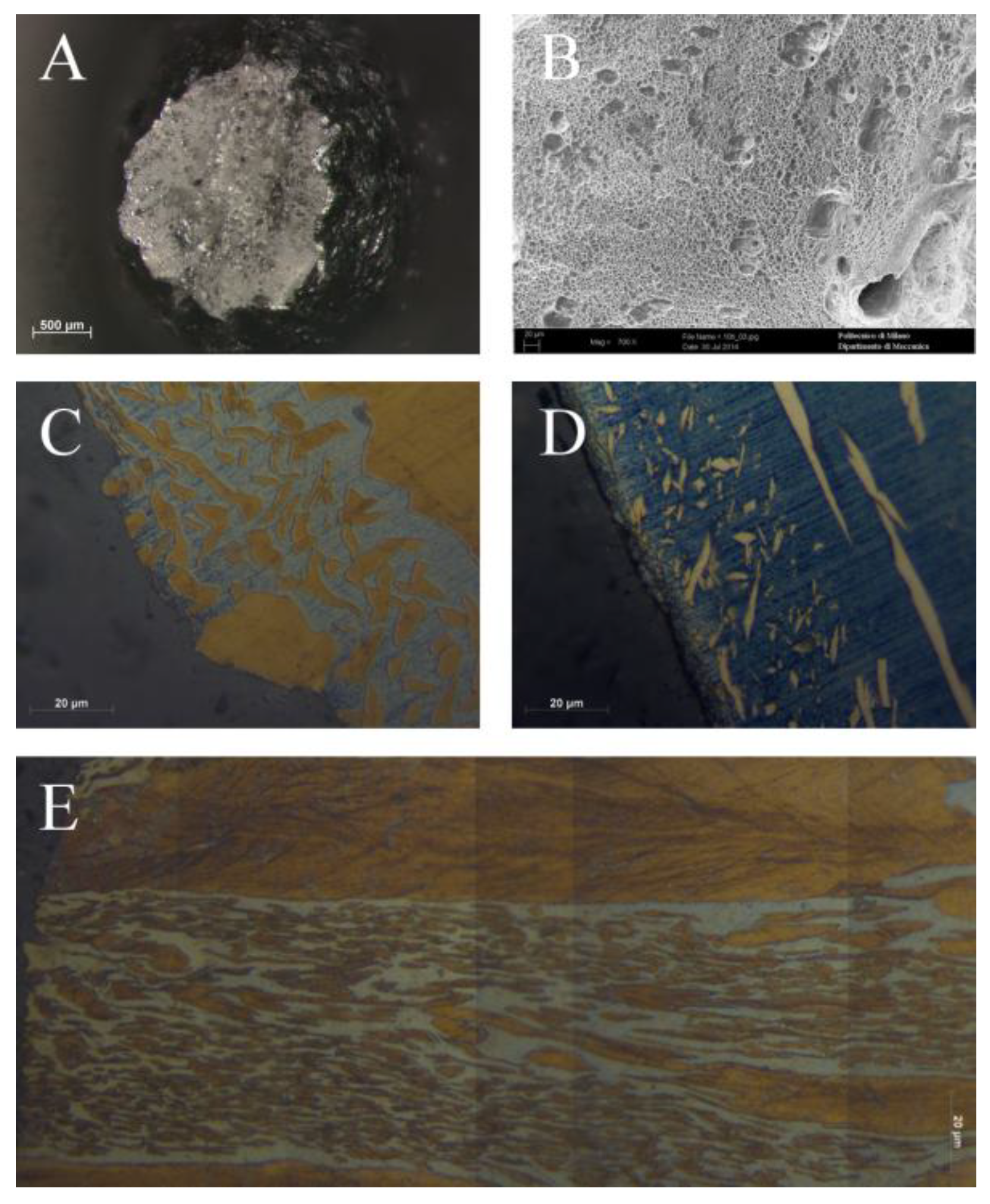 Metals 09 00191 g003 550