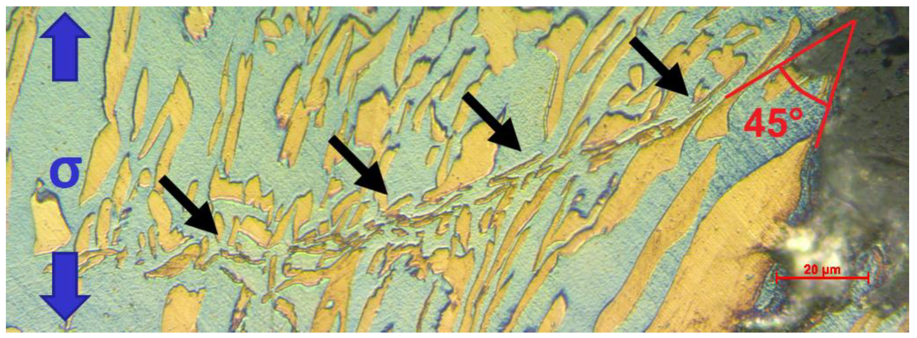 Metals 09 00191 g007 550