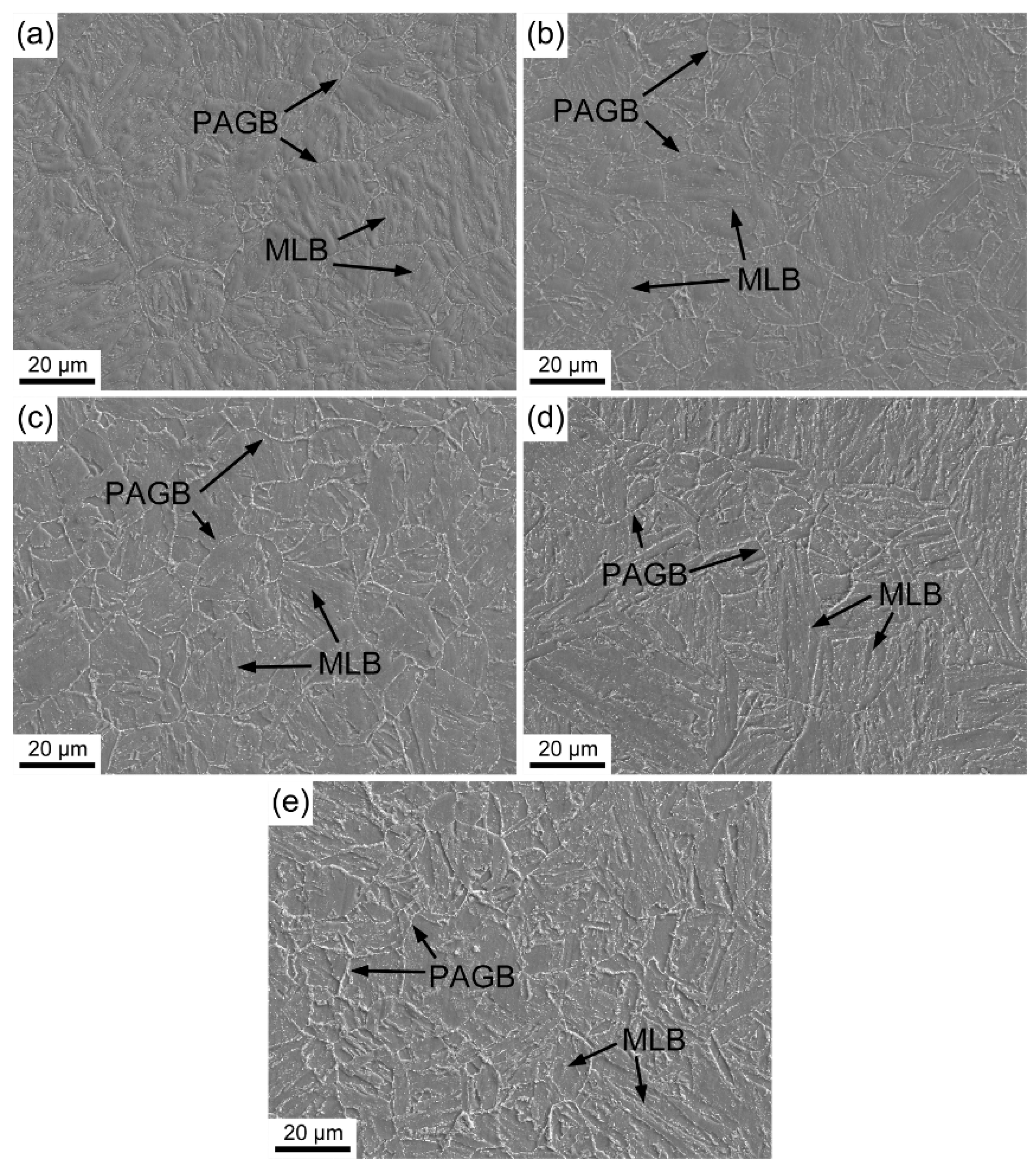 Metals 09 00194 g001 550