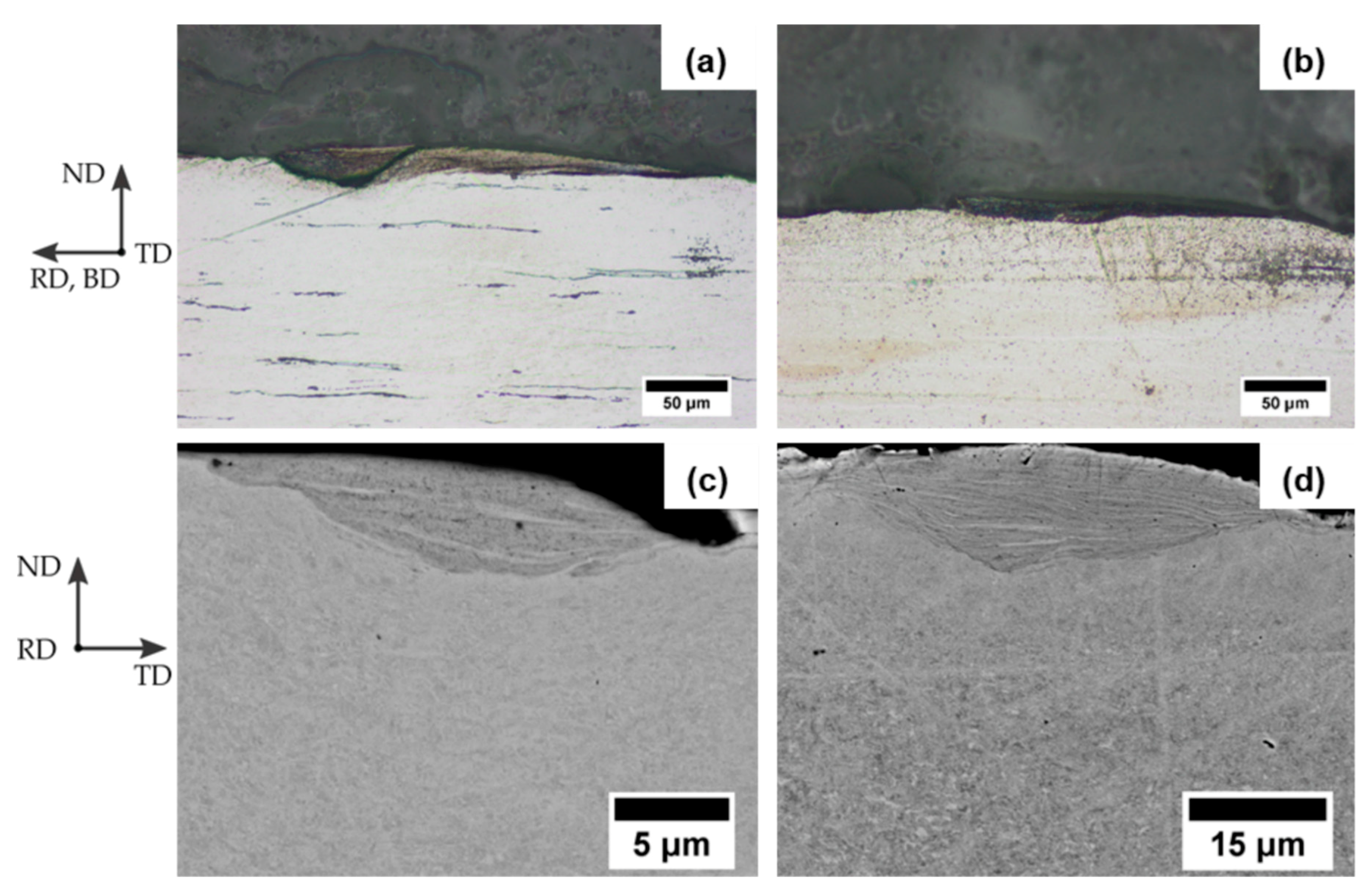 Metals 09 00195 g007 550