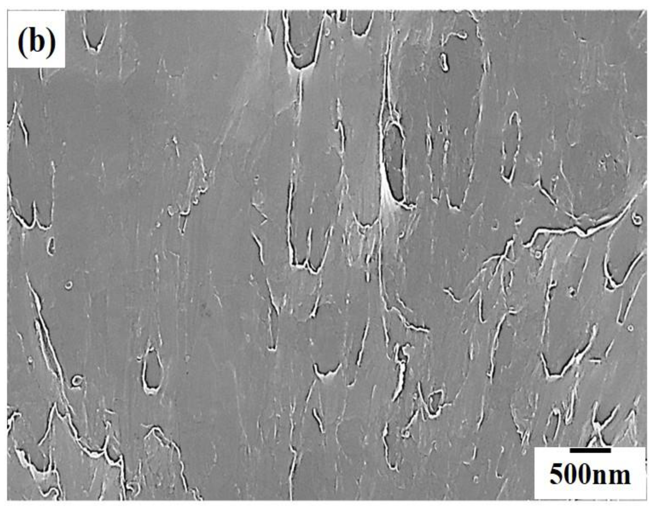 Metals 09 00196 g006b