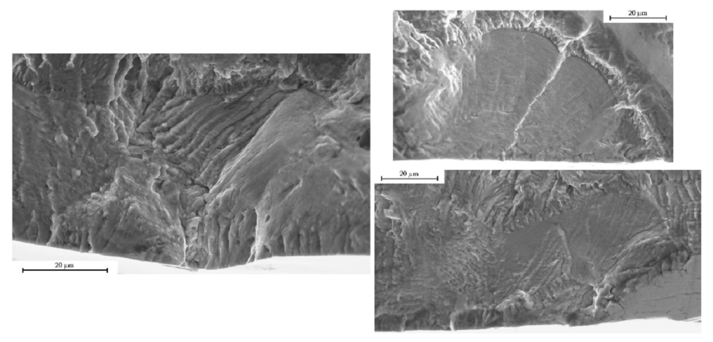 Metals 09 00197 g007 550