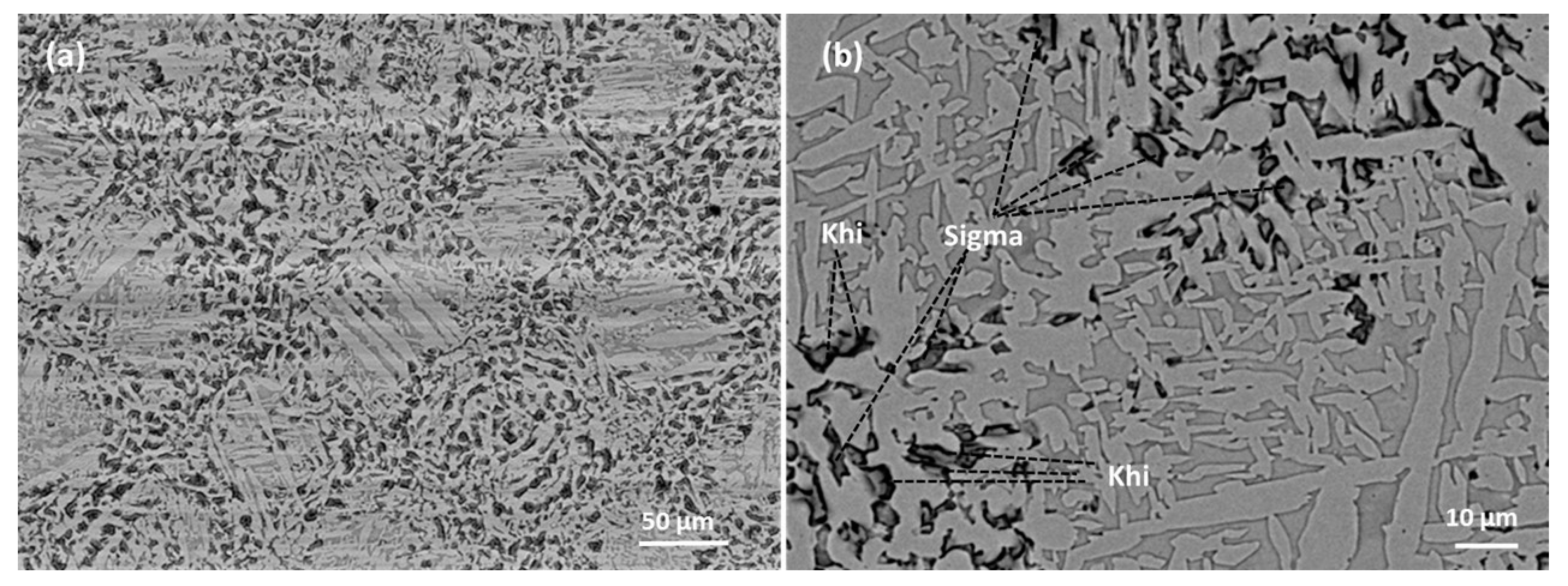 Metals 09 00199 g004 550