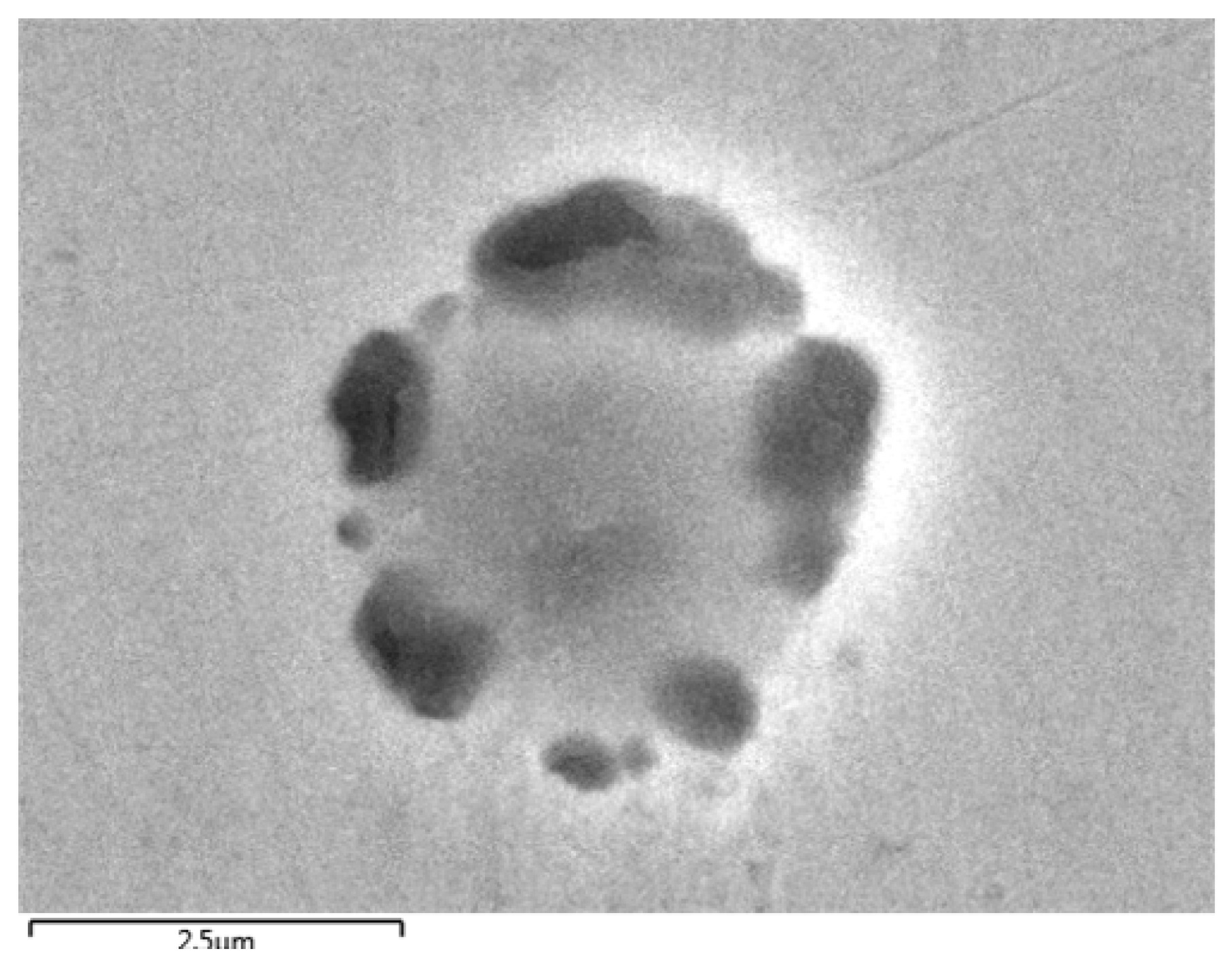 Metals 09 00203 g002 550