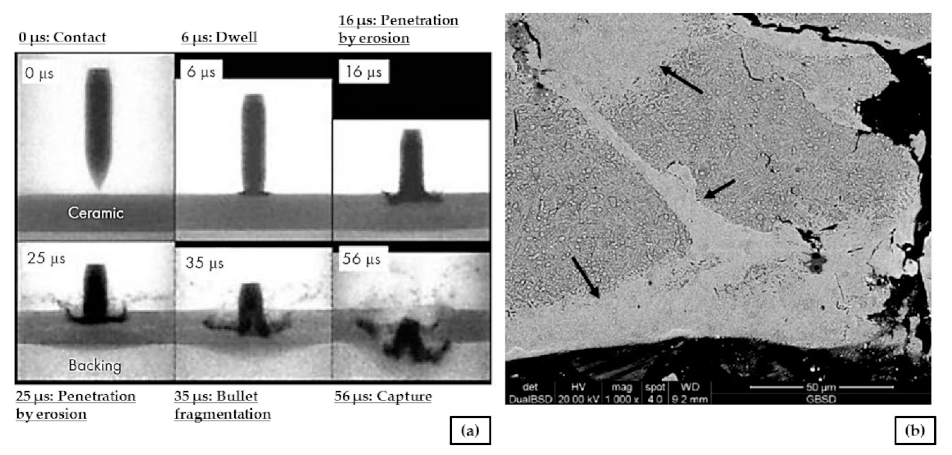 Metals 09 00216 g001 550
