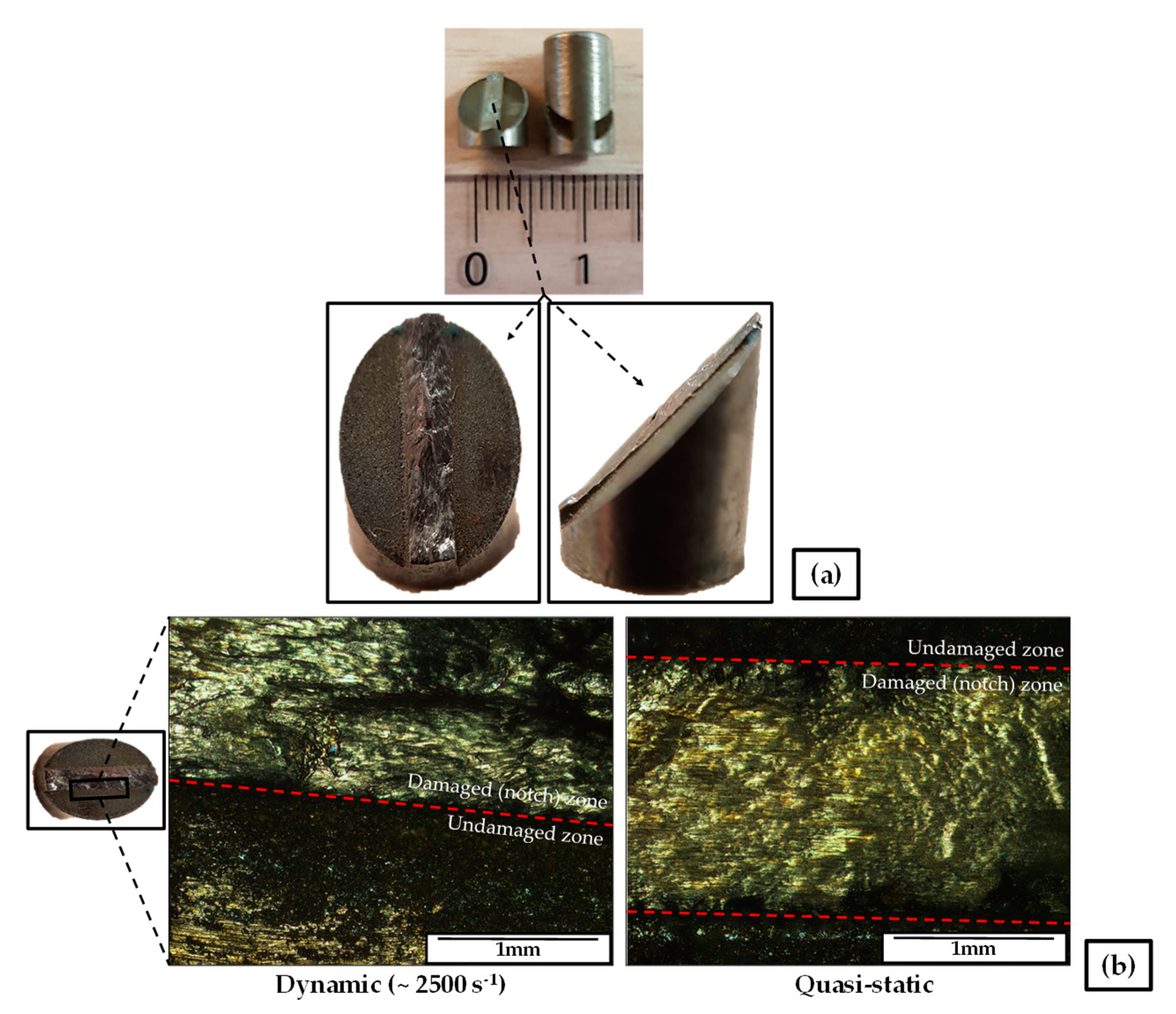 Metals 09 00216 g014 550