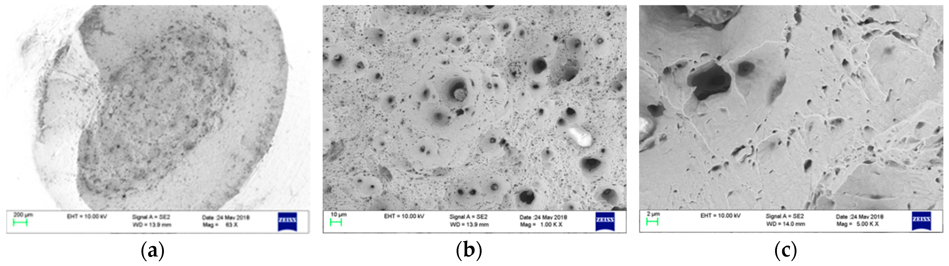 Metals 09 00224 g011 550