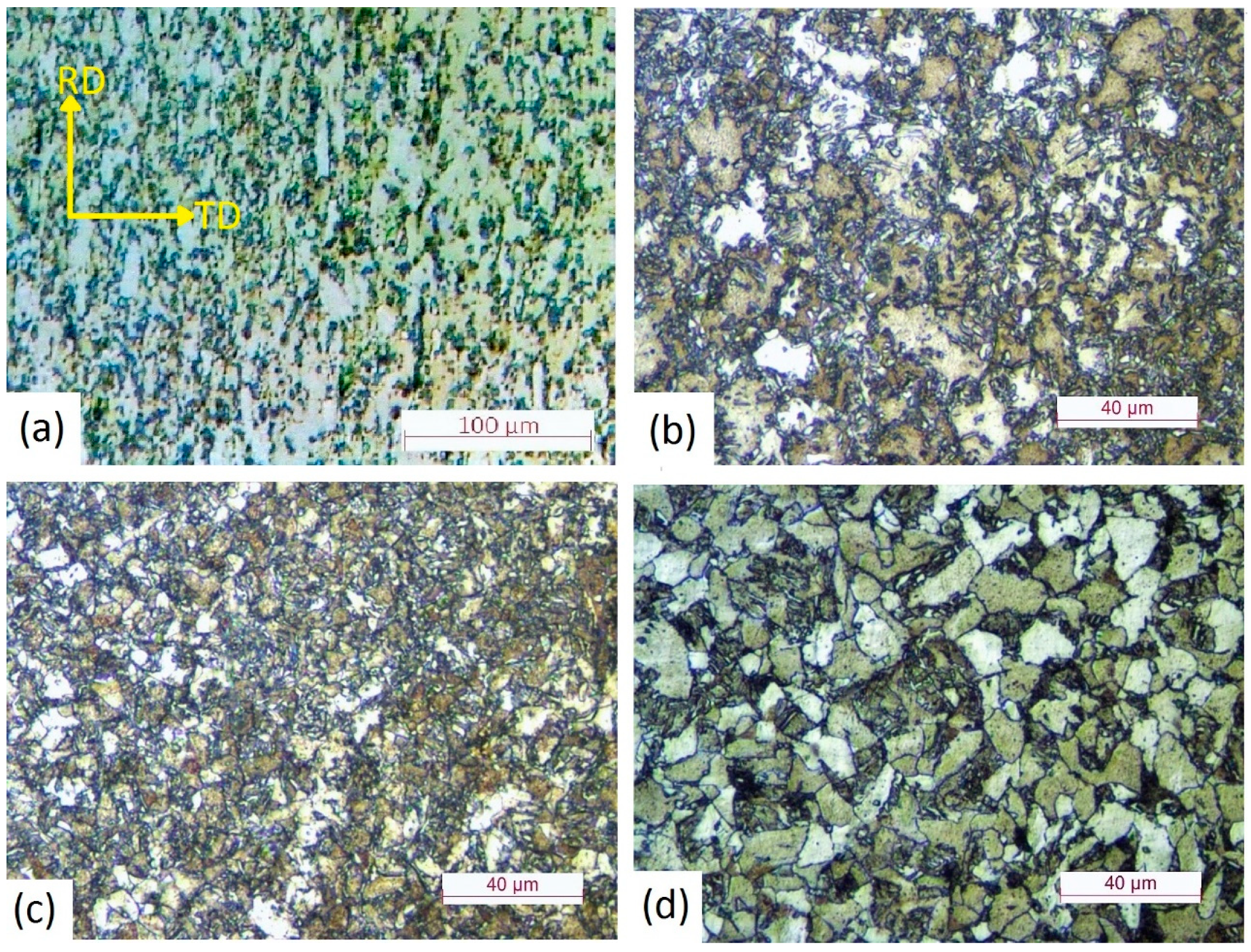 Metals 09 00250 g003 550