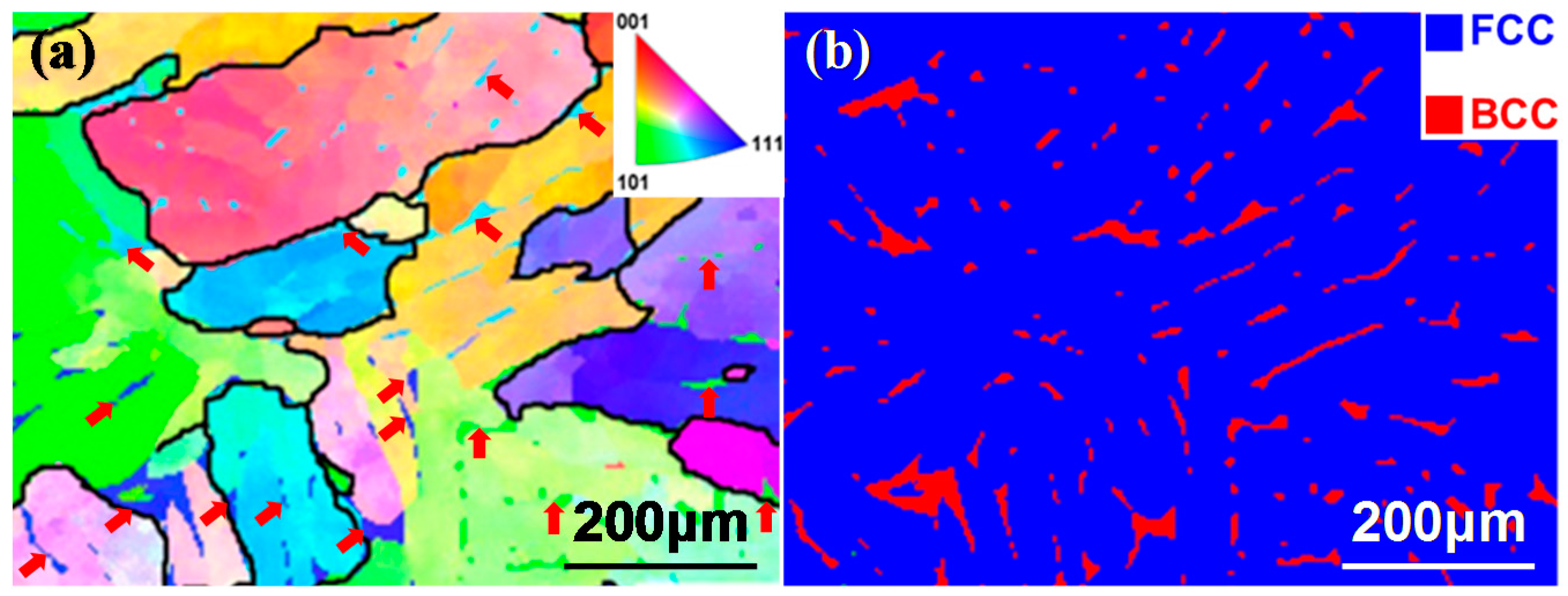 Metals 09 00258 g002