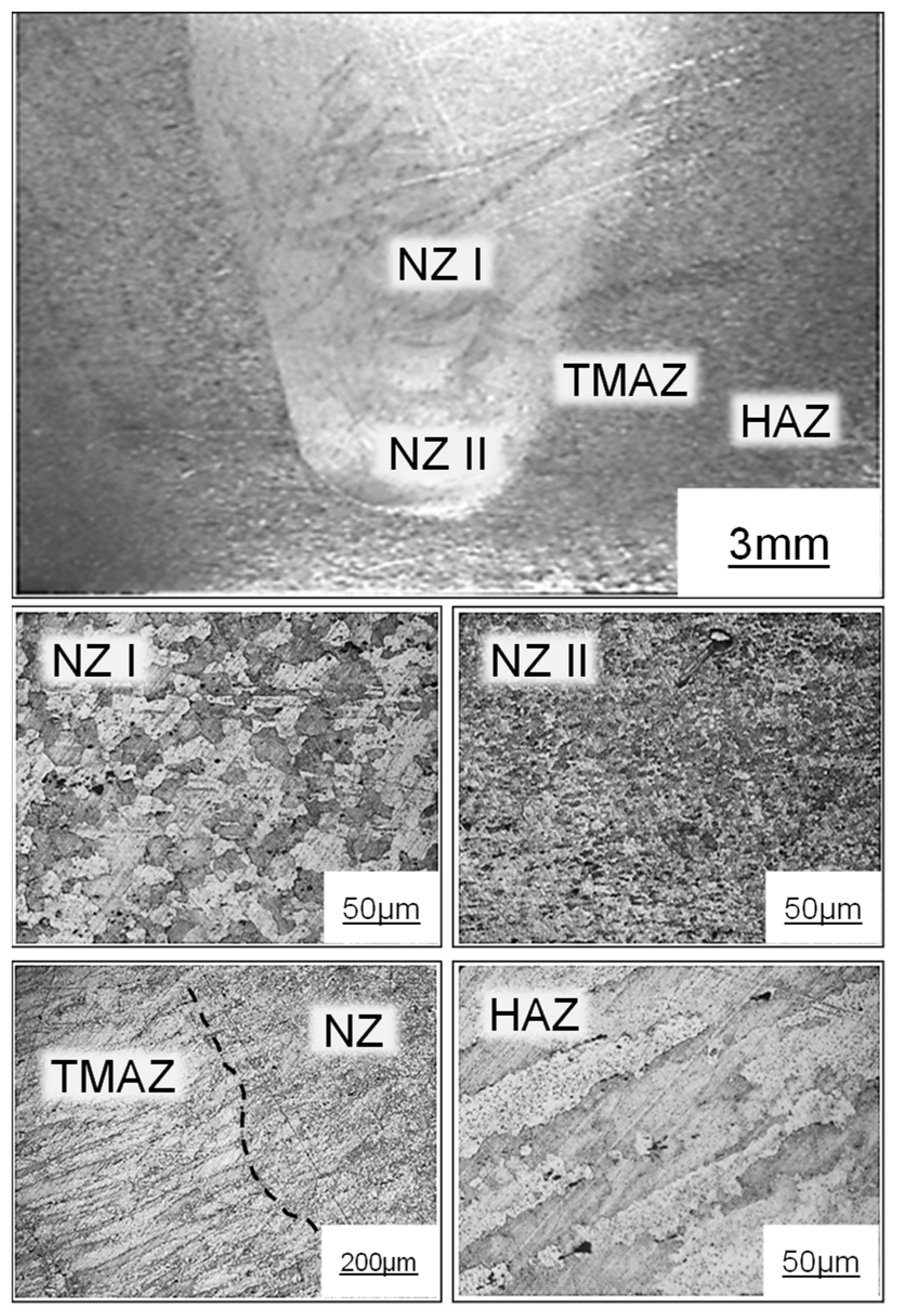 Metals 09 00260 g001 550