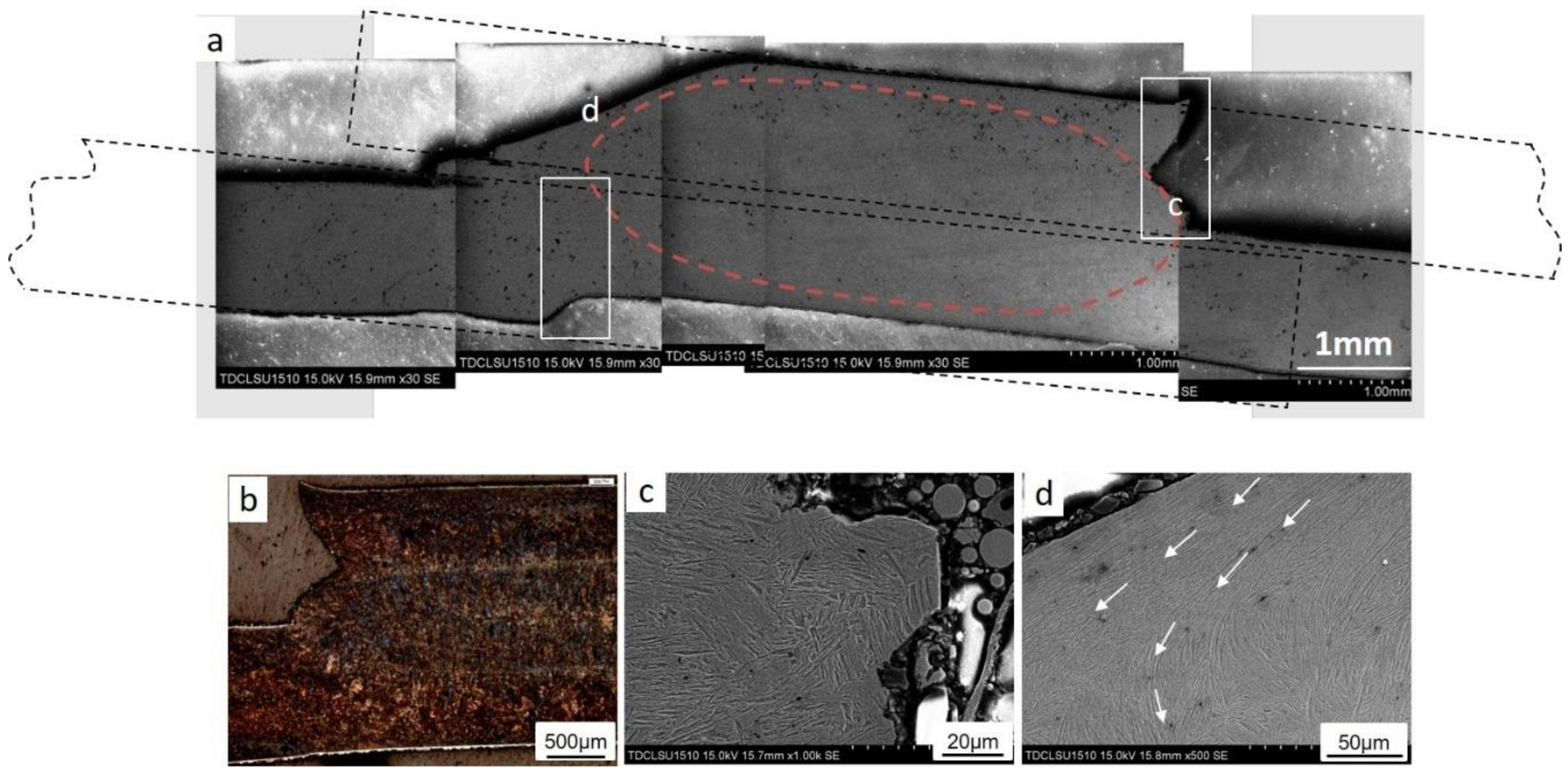 Metals 09 00285 g008