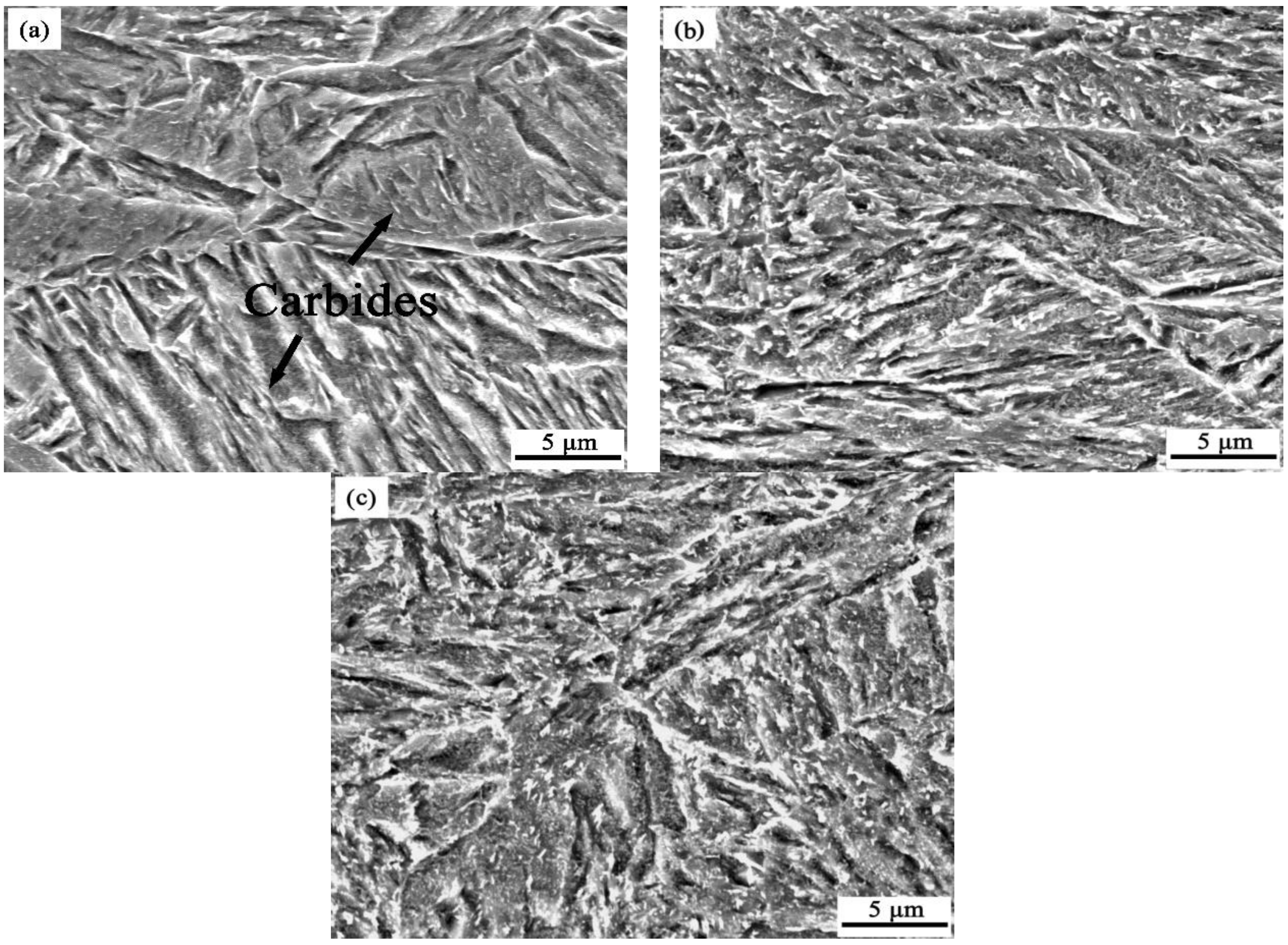 Metals 09 00289 g003 550