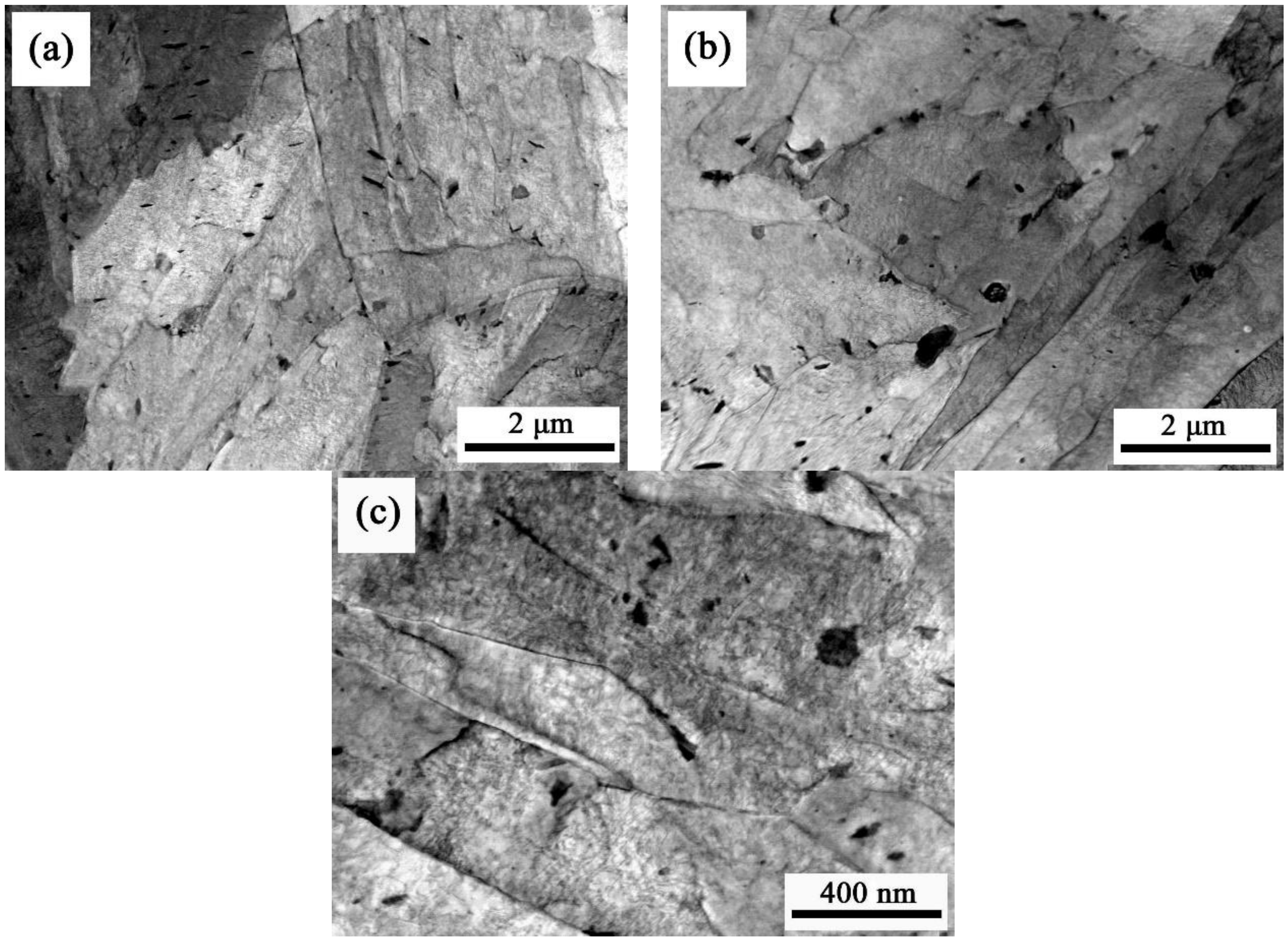 Metals 09 00289 g015 550