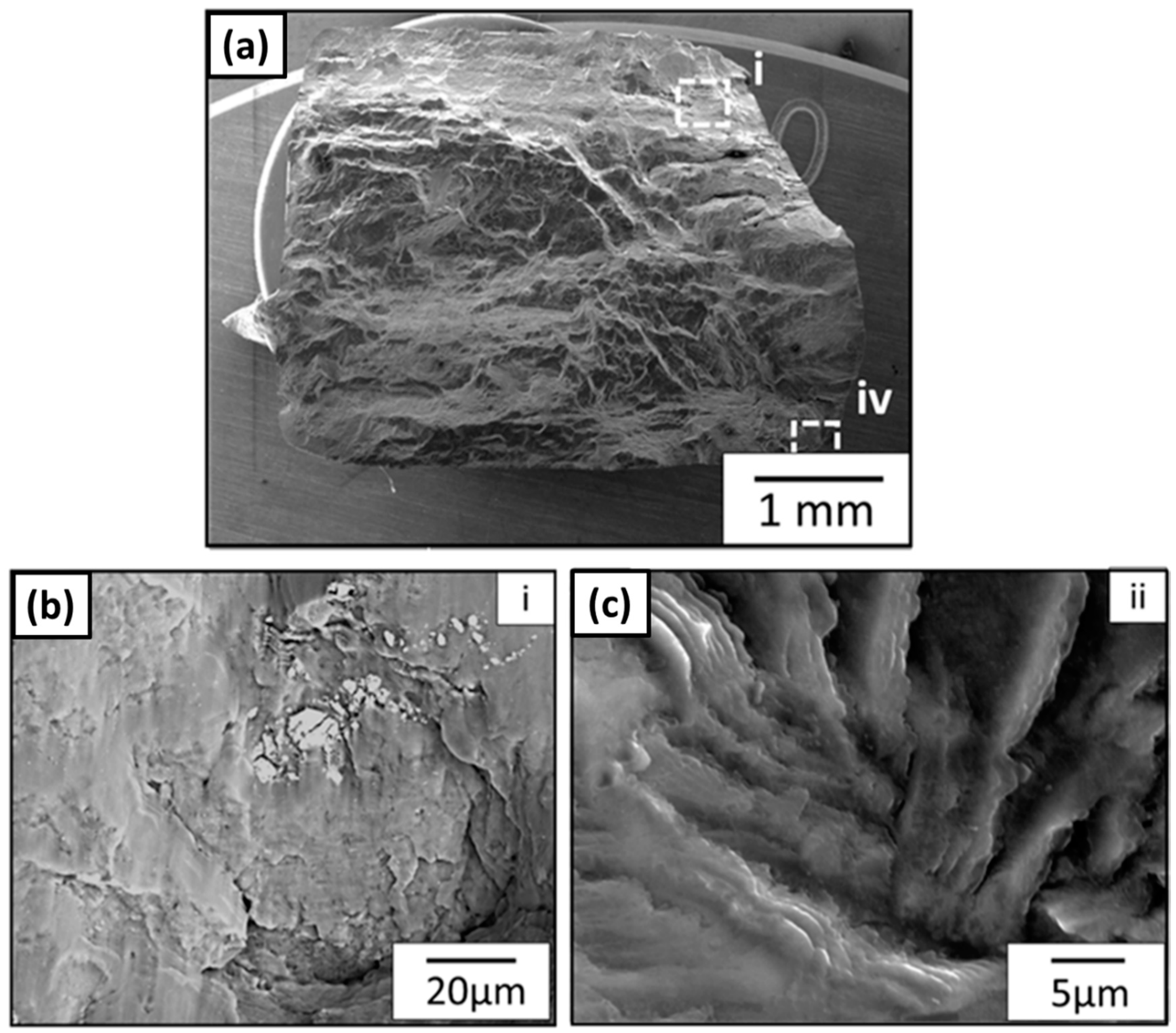 Metals 09 00293 g010