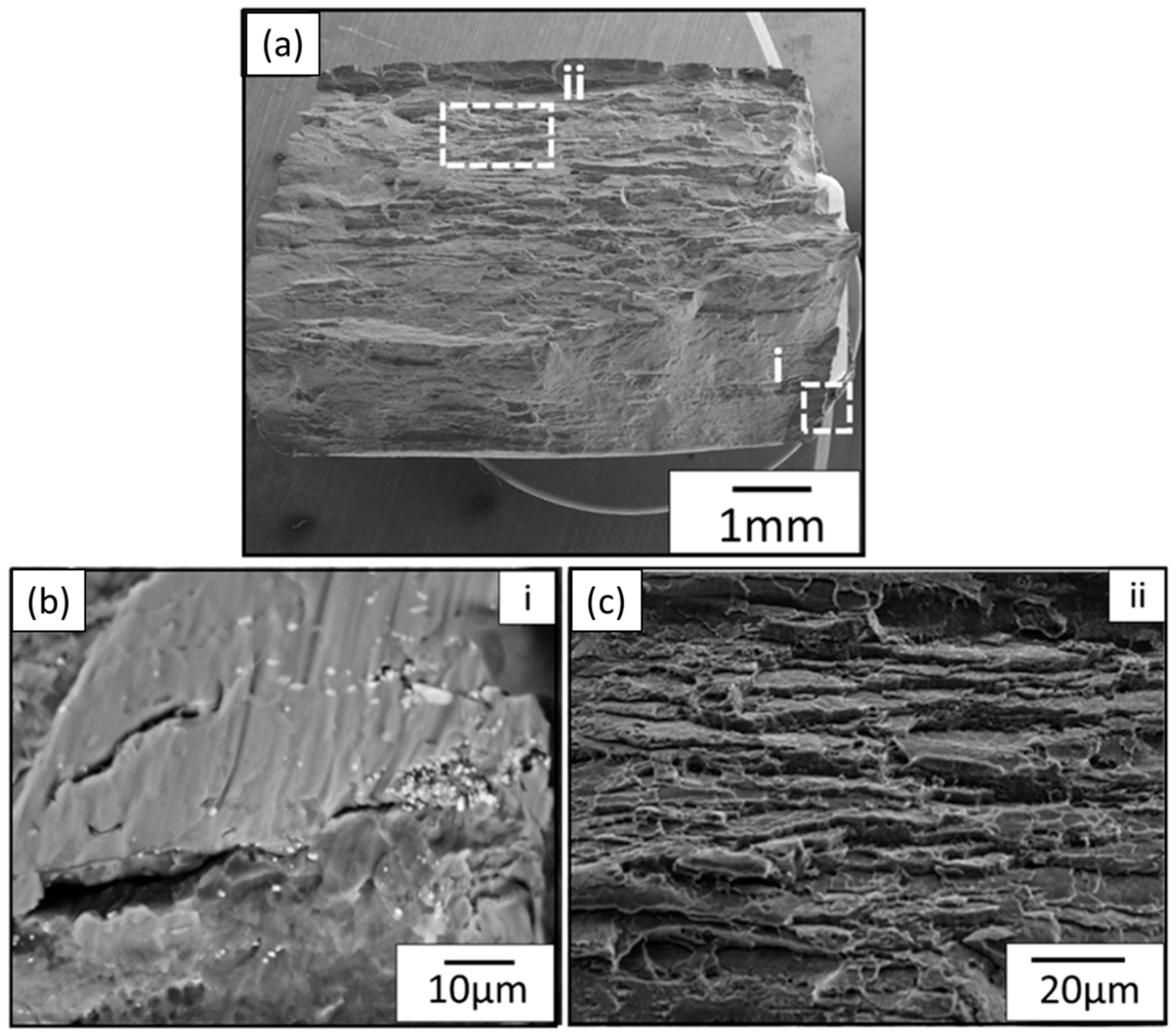 Metals 09 00293 g011