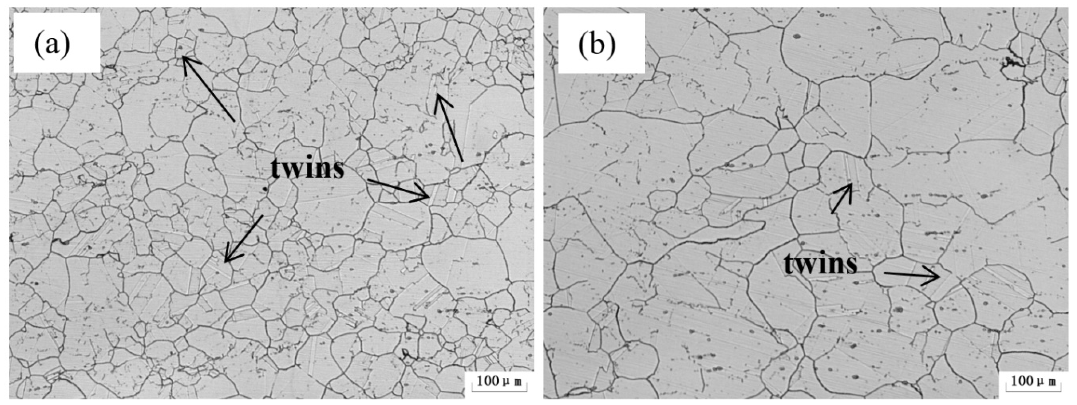 Metals 09 00298 g001 550