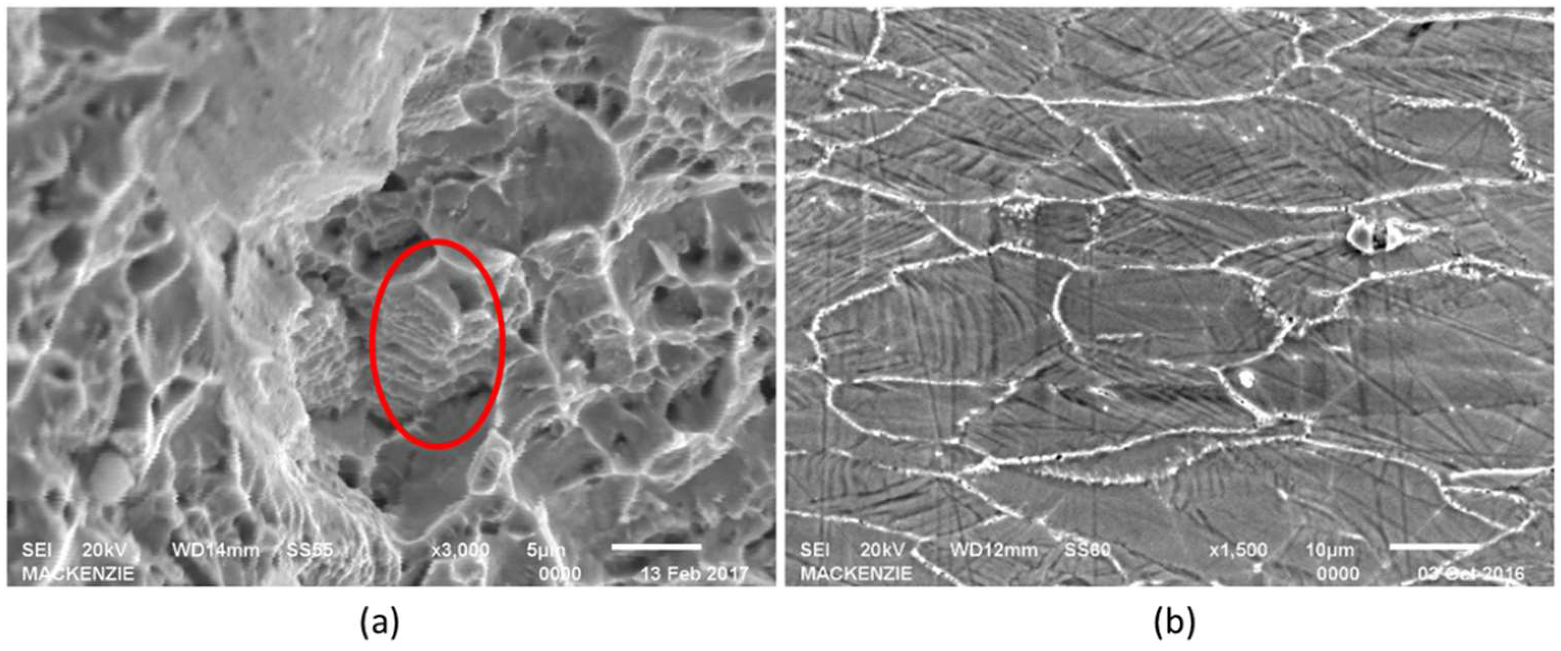 Metals 09 00301 g010