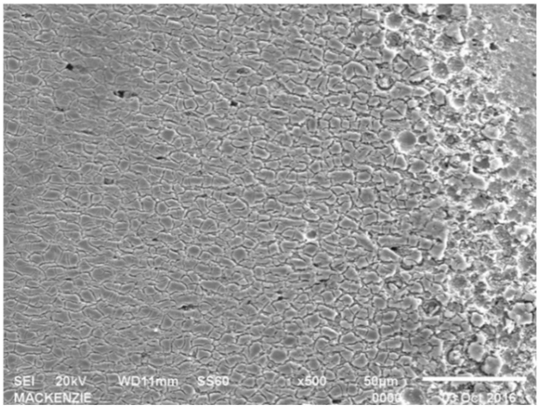 Metals 09 00301 g011