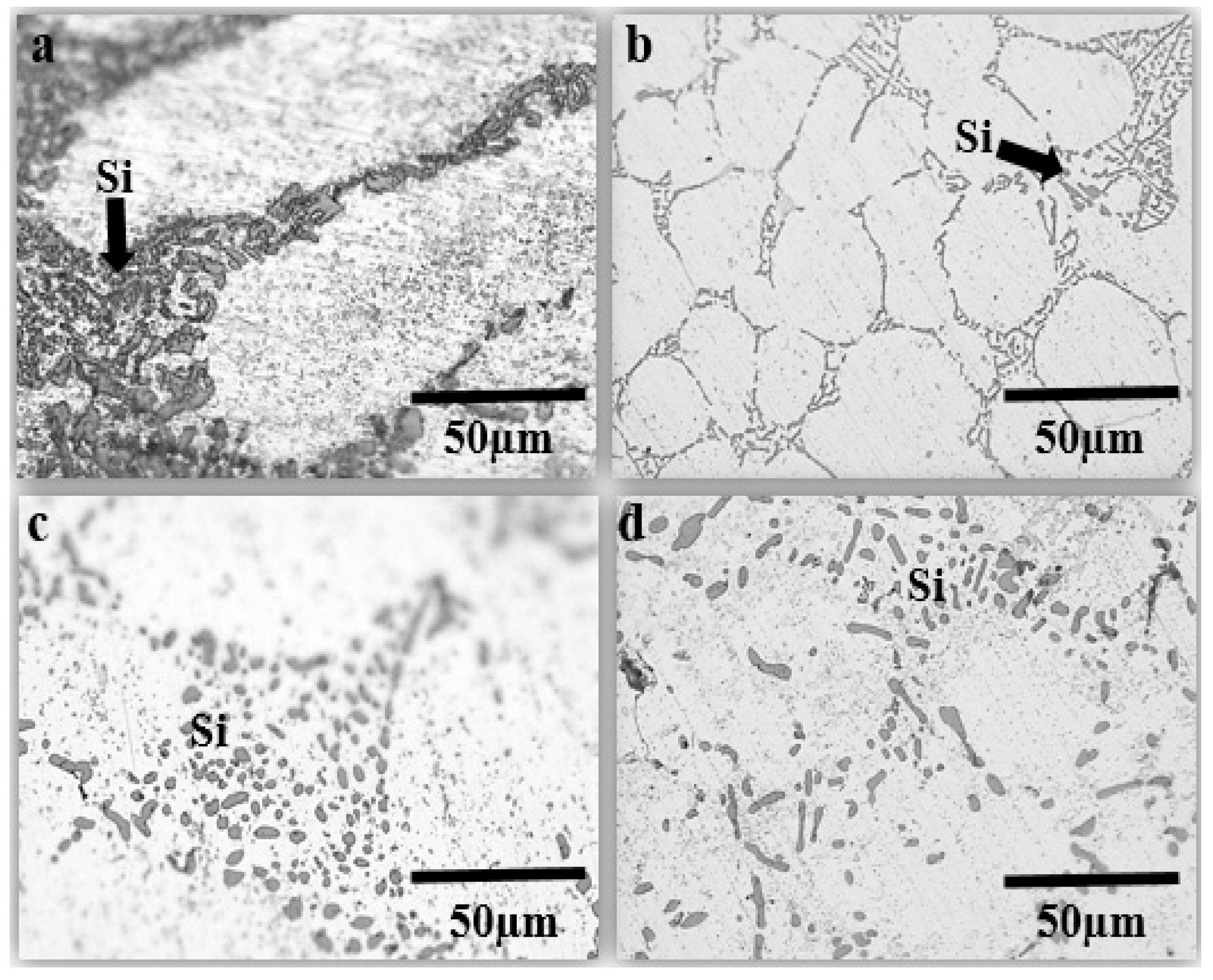 Metals 09 00303 g003 550
