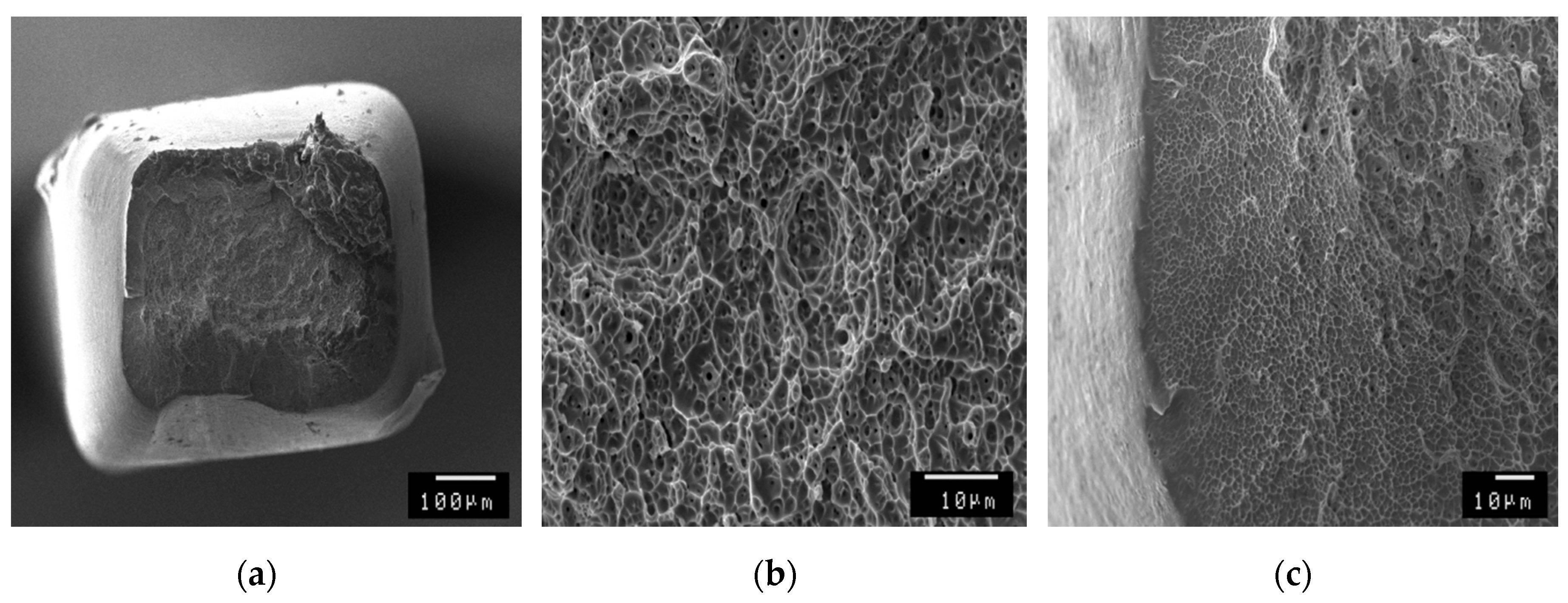 Metals 09 00316 g011