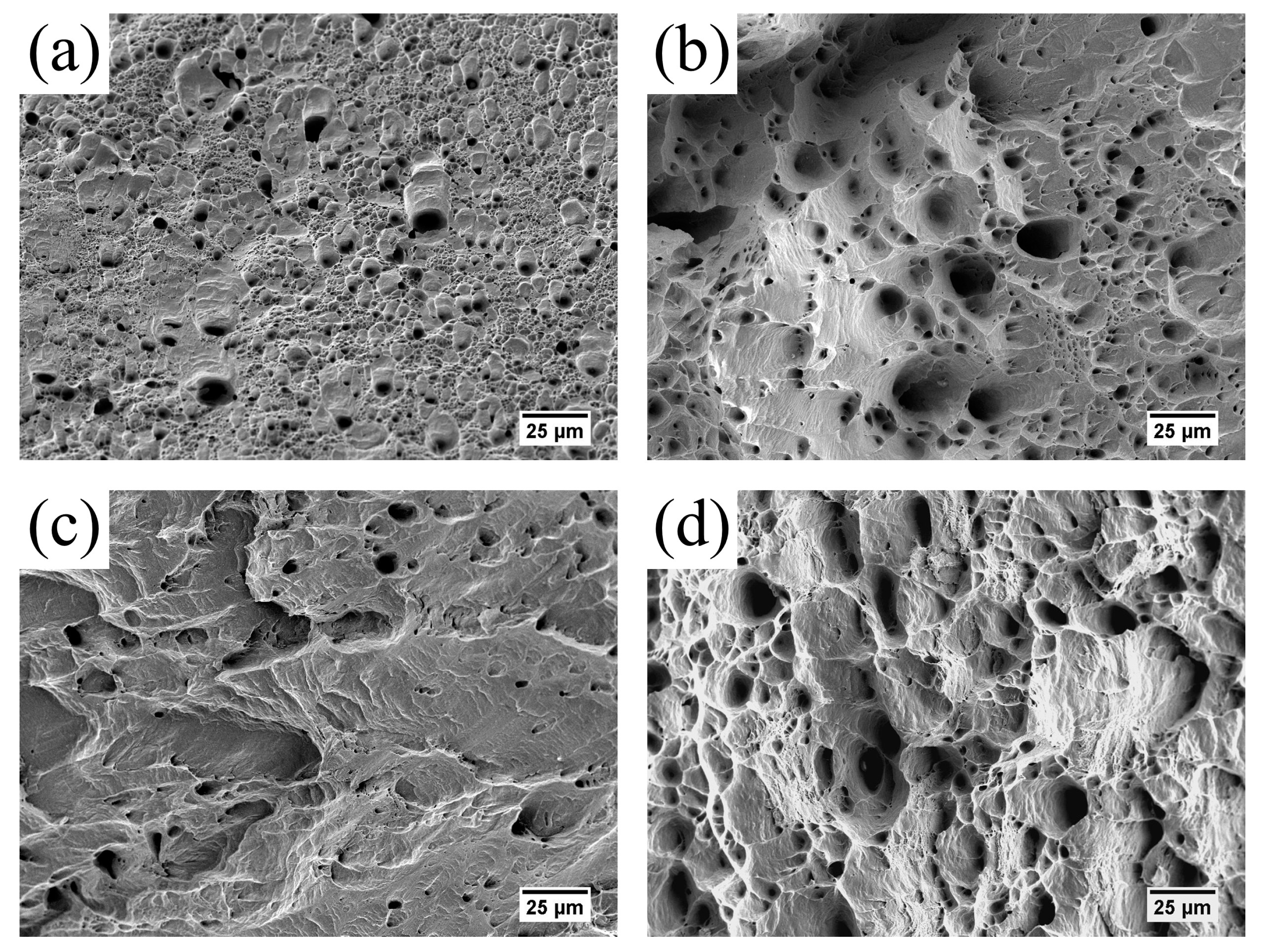 Metals 09 00317 g011