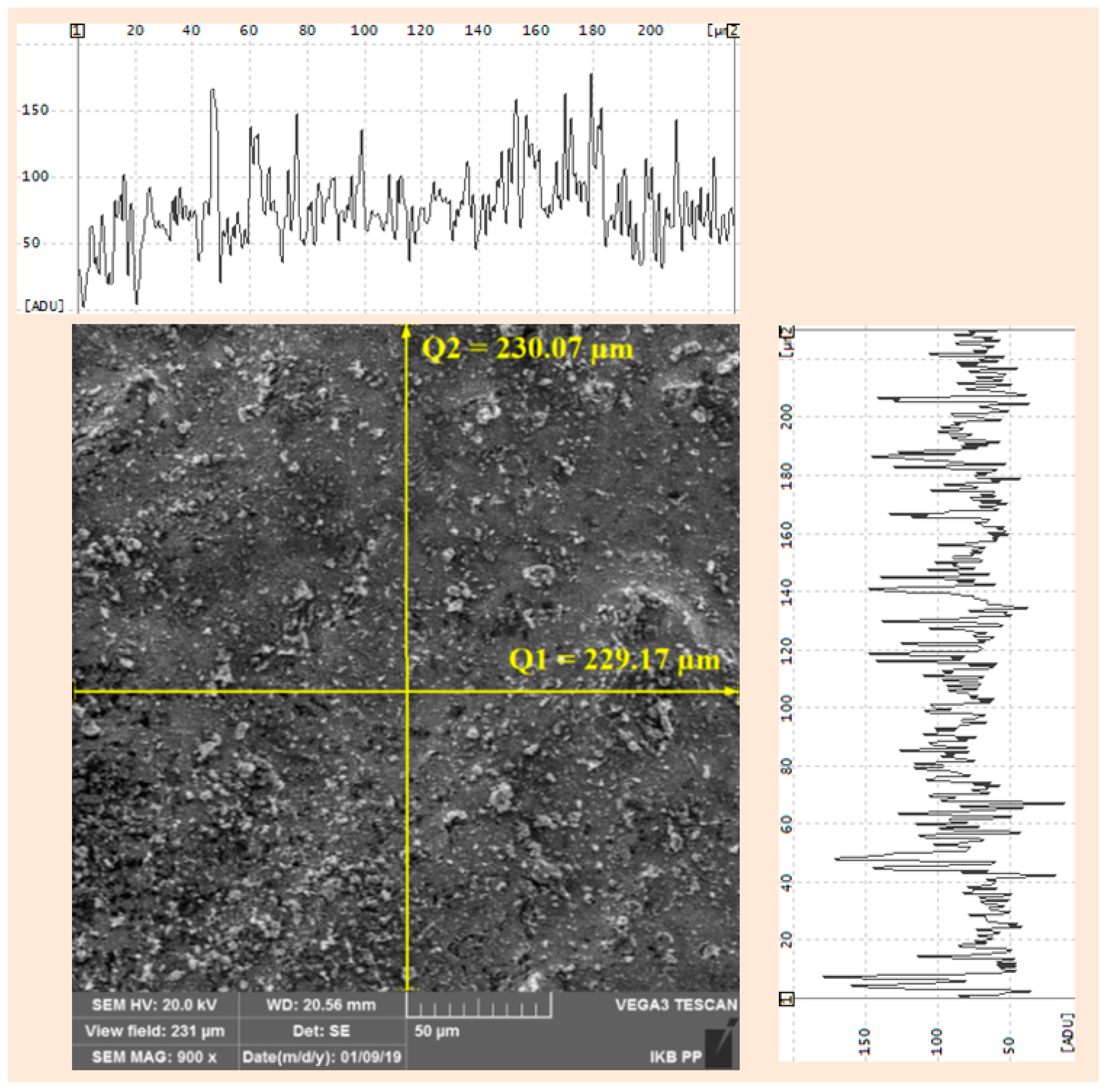 Metals 09 00324 g011