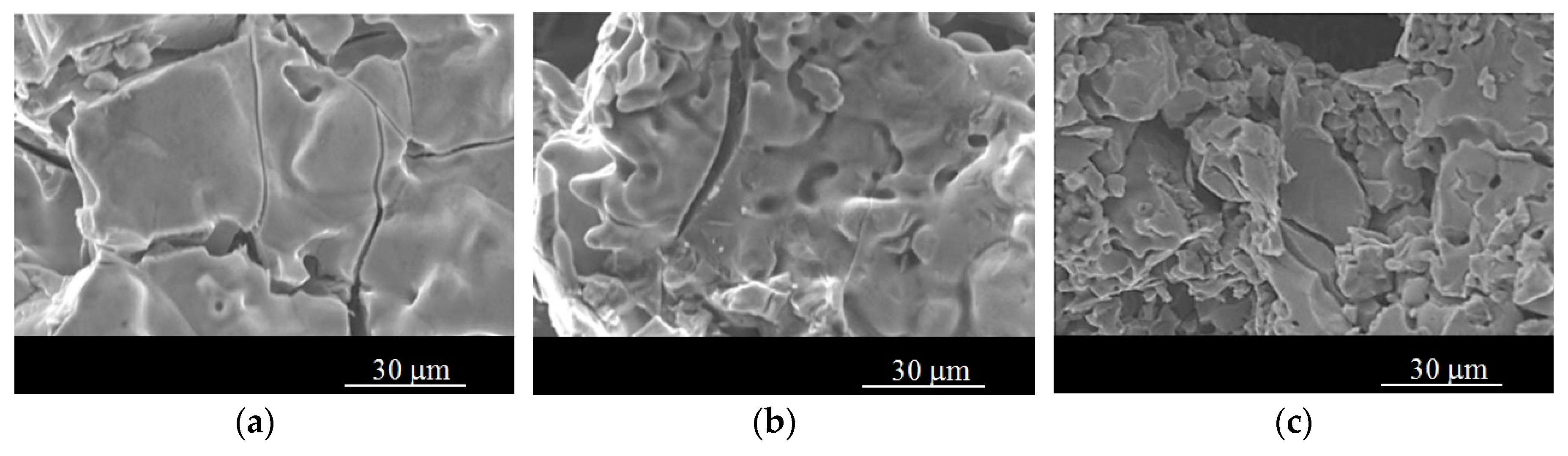 Metals Free FullText Fabrication, Morphology Analysis, and