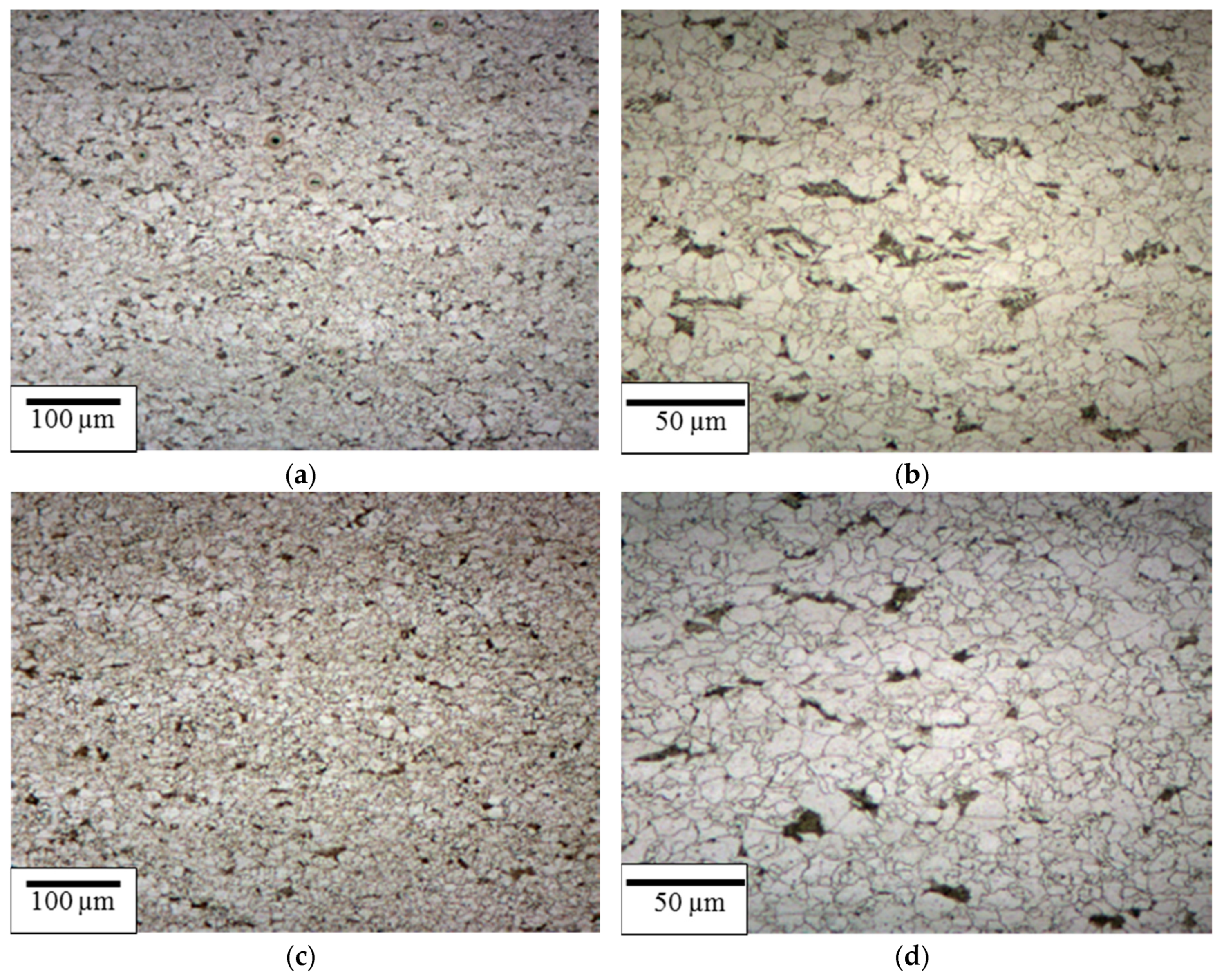 Metals 09 00391 g004 550