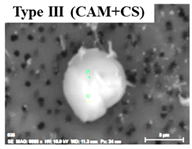 Metals 09 00391 i003