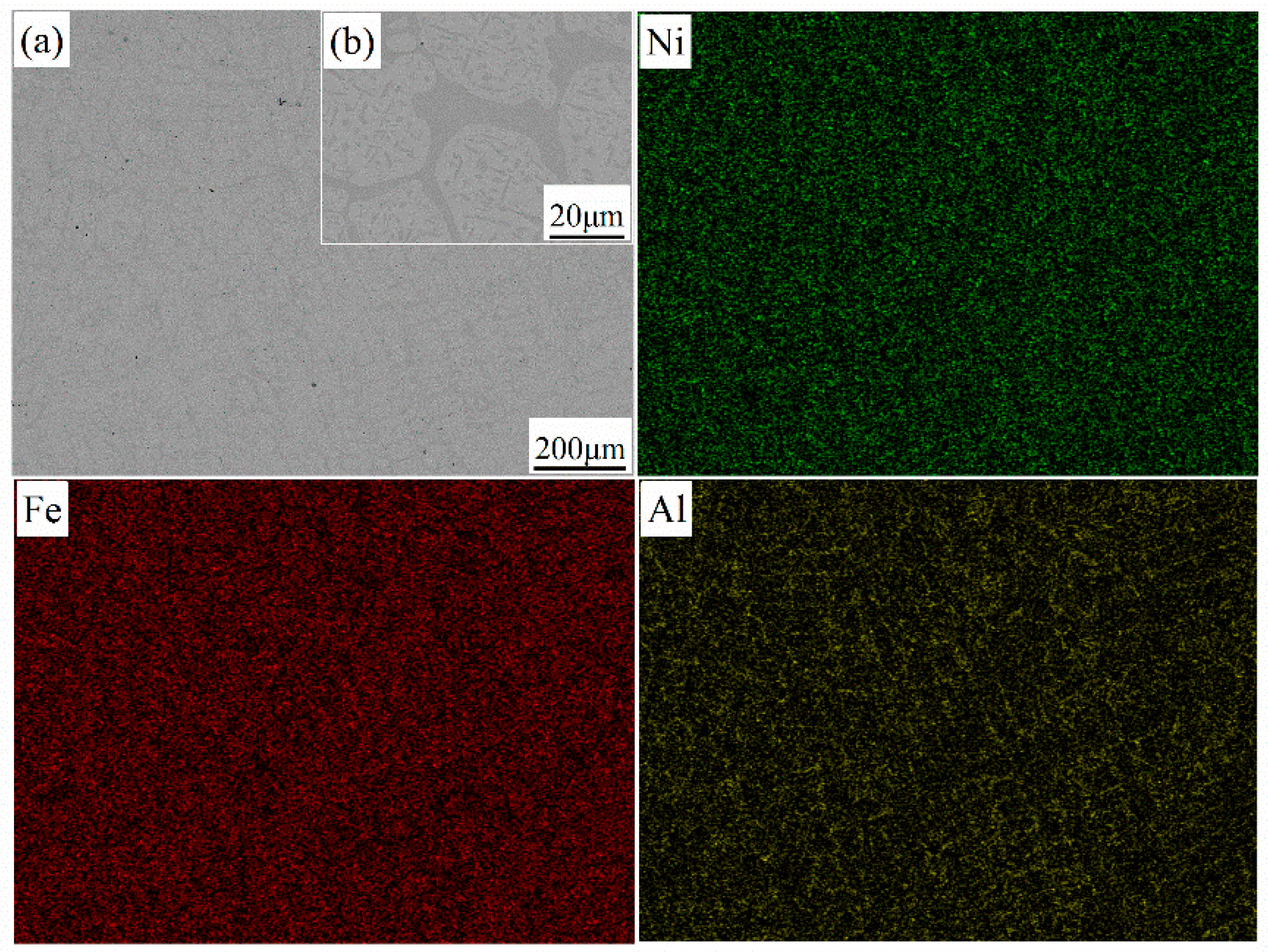 The Role of Active Elements in the Oxidation Behaviour of High Temperature Metals and Alloys