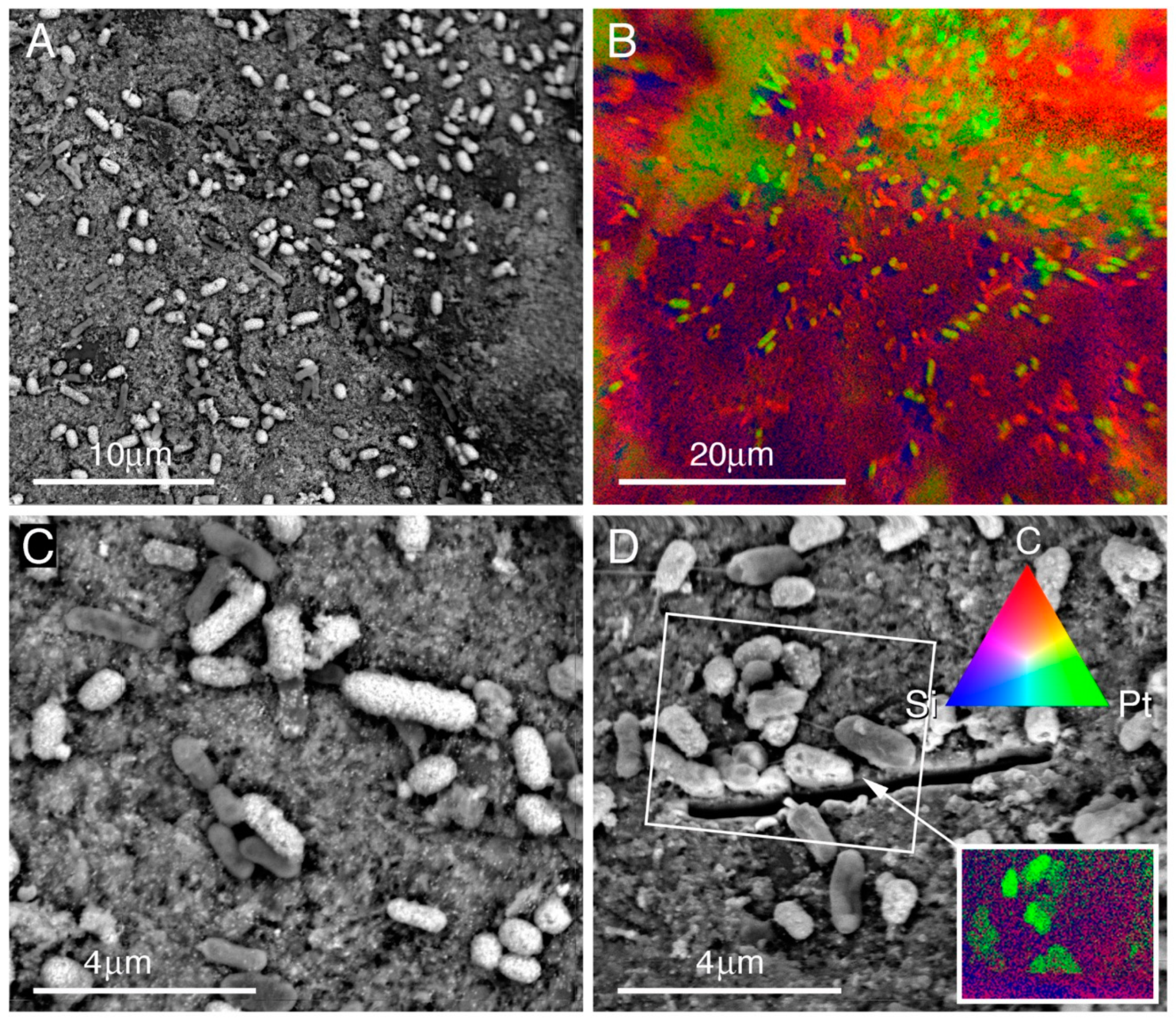 Metals 09 00407 g002