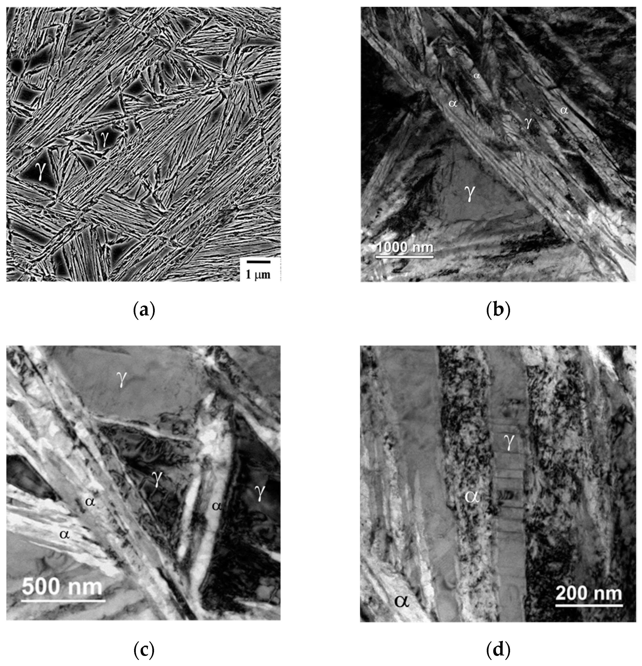 Metals 09 00426 g001 550