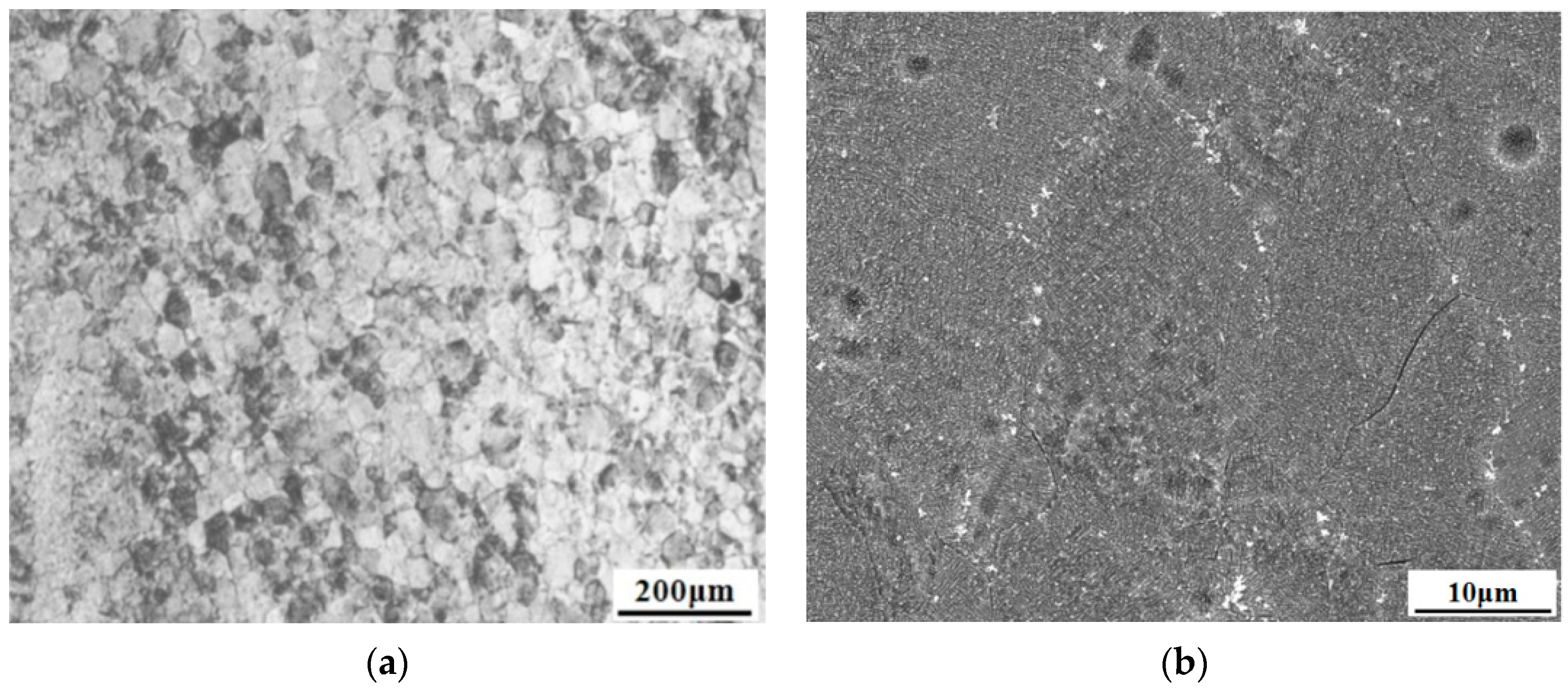 Study of the Microstructure and Fracture Toughness of TC17 Titanium ...
