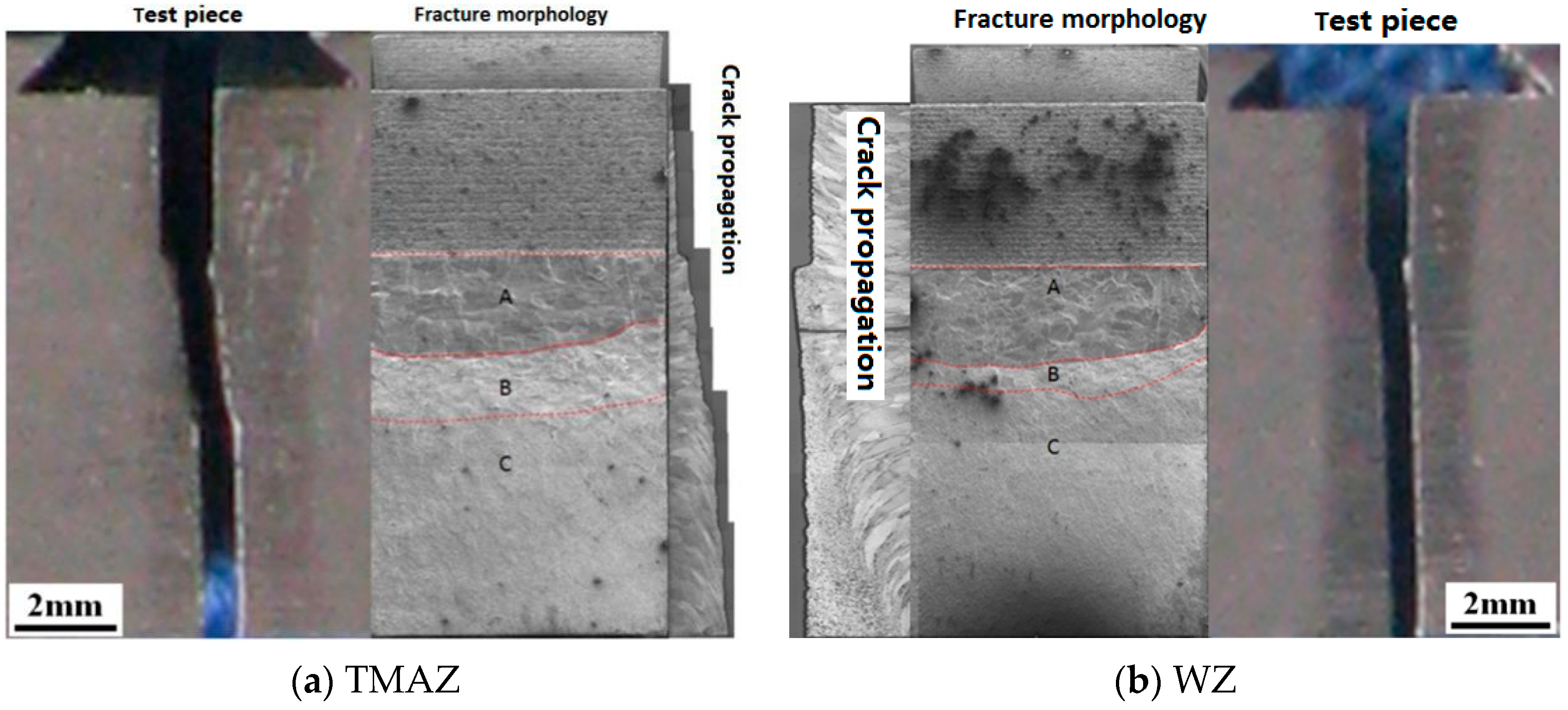 Metals 09 00430 g013 550