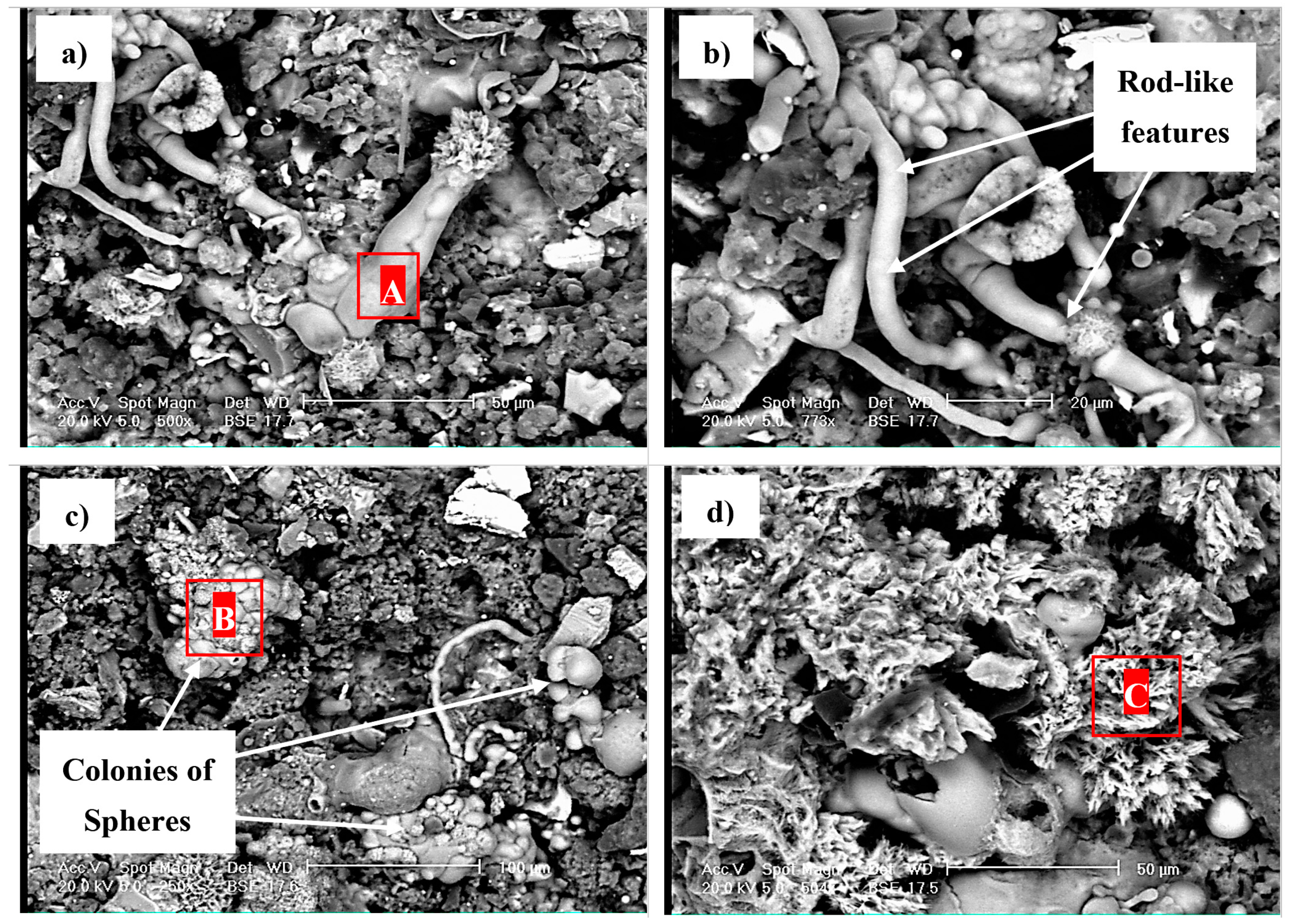 Metals 09 00459 g005 550