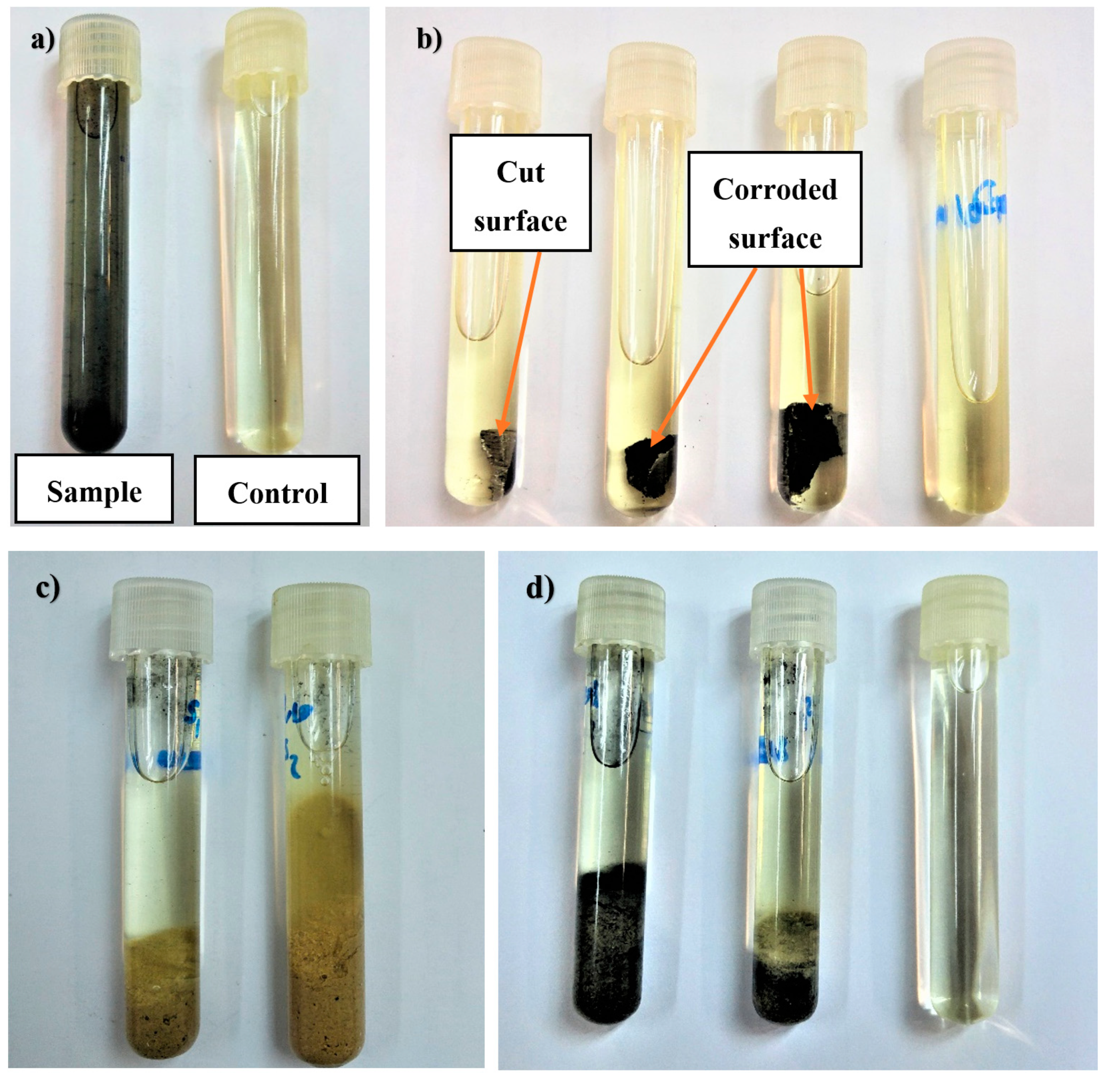 Metals 09 00459 g011 550