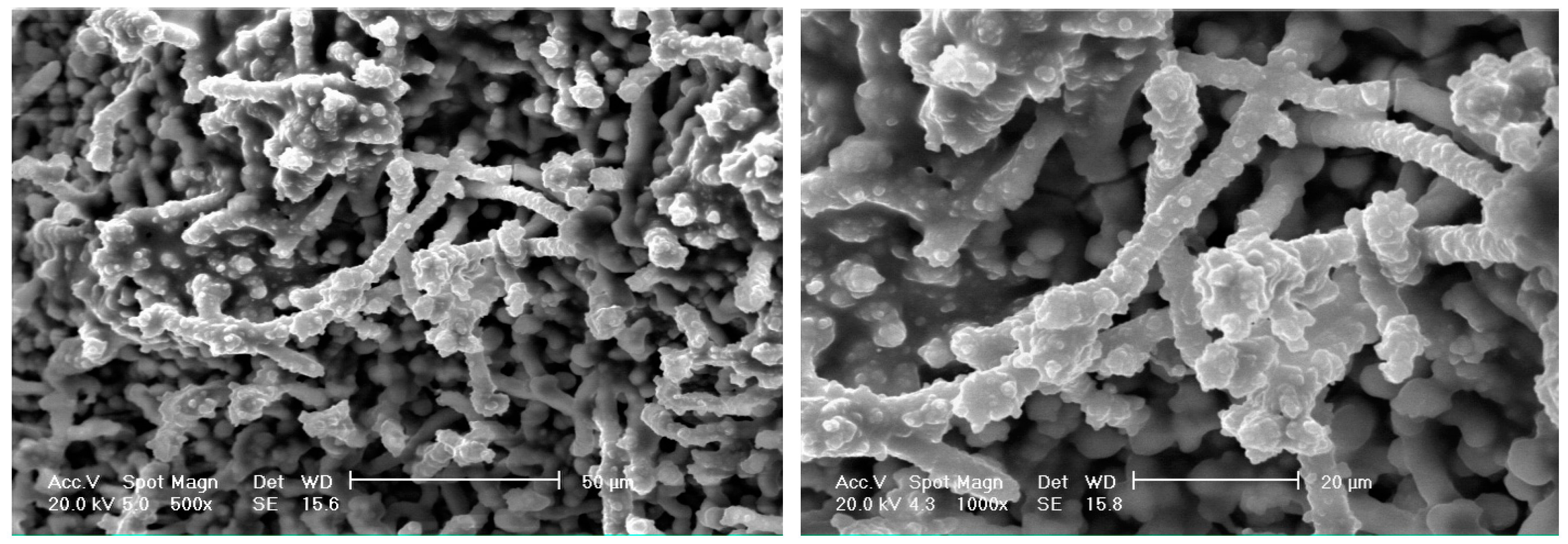 Metals 09 00459 g014 550