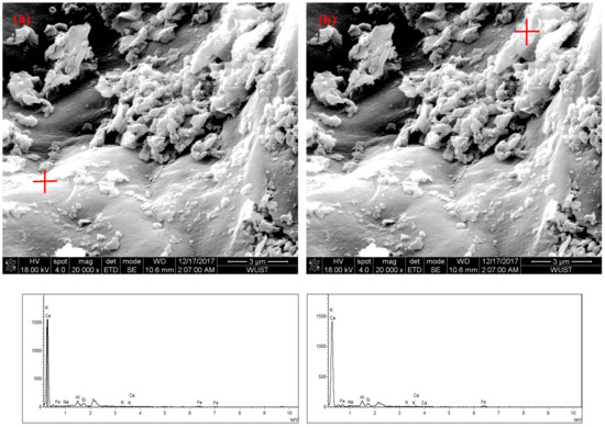Isothermal Kinetic Mechanism of Coke Dissolving in Hot Metal