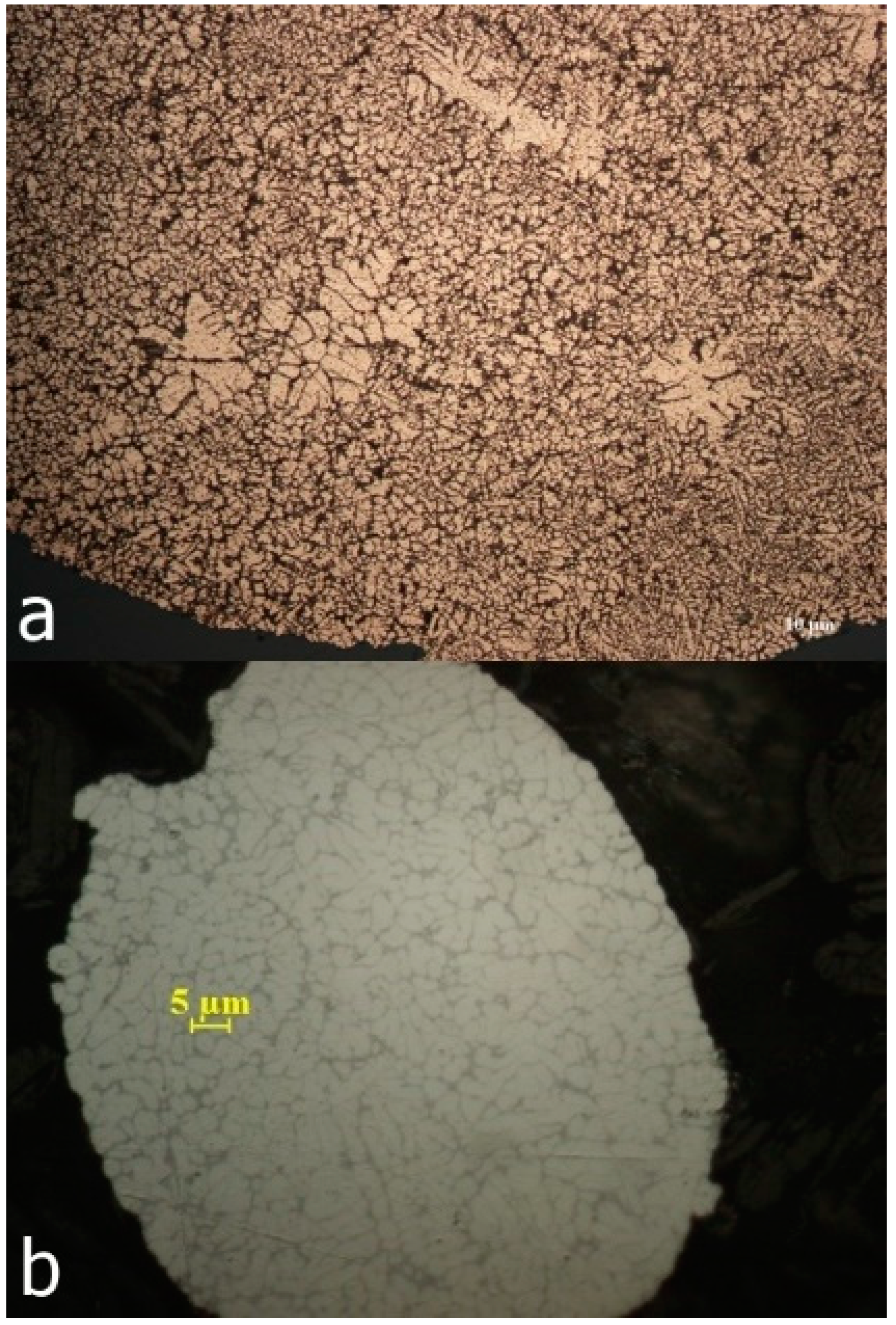 Metals 09 00483 g003