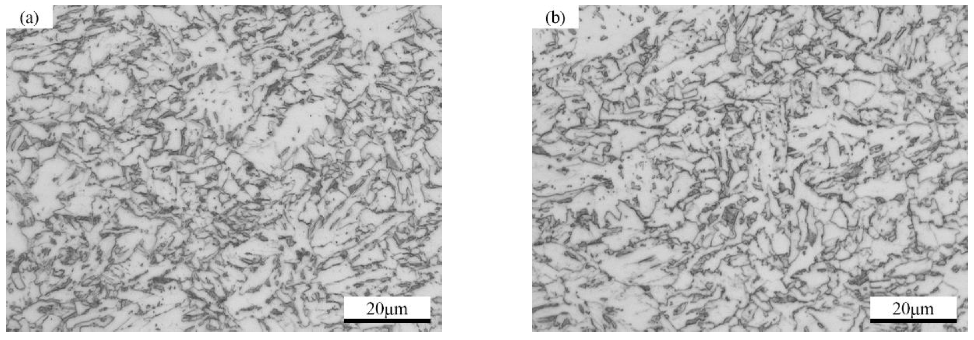 Metals 09 00486 g001a