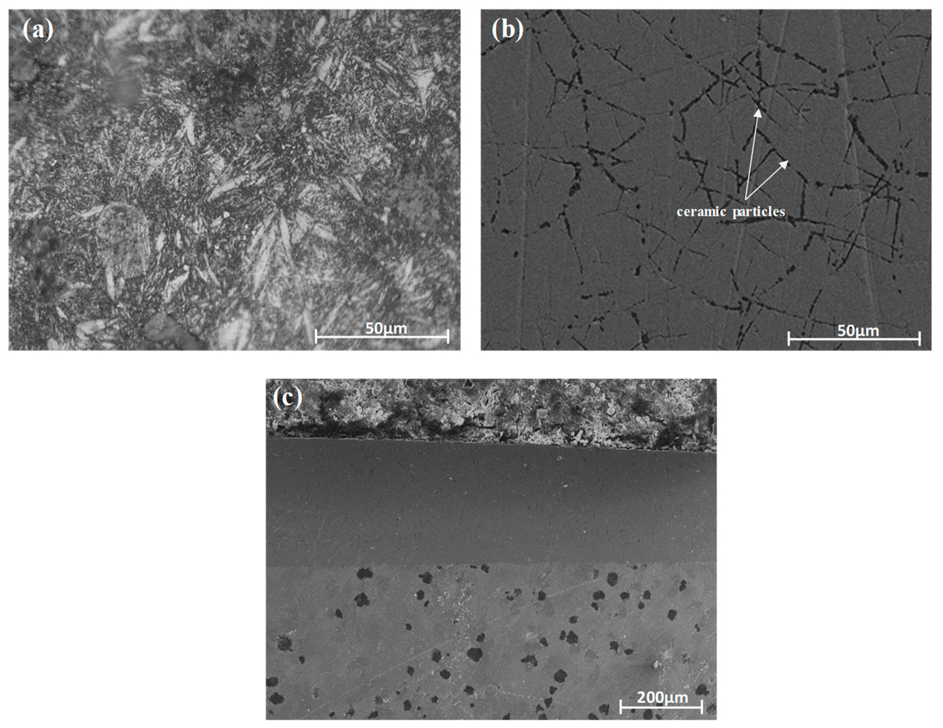 Metals 09 00487 g003