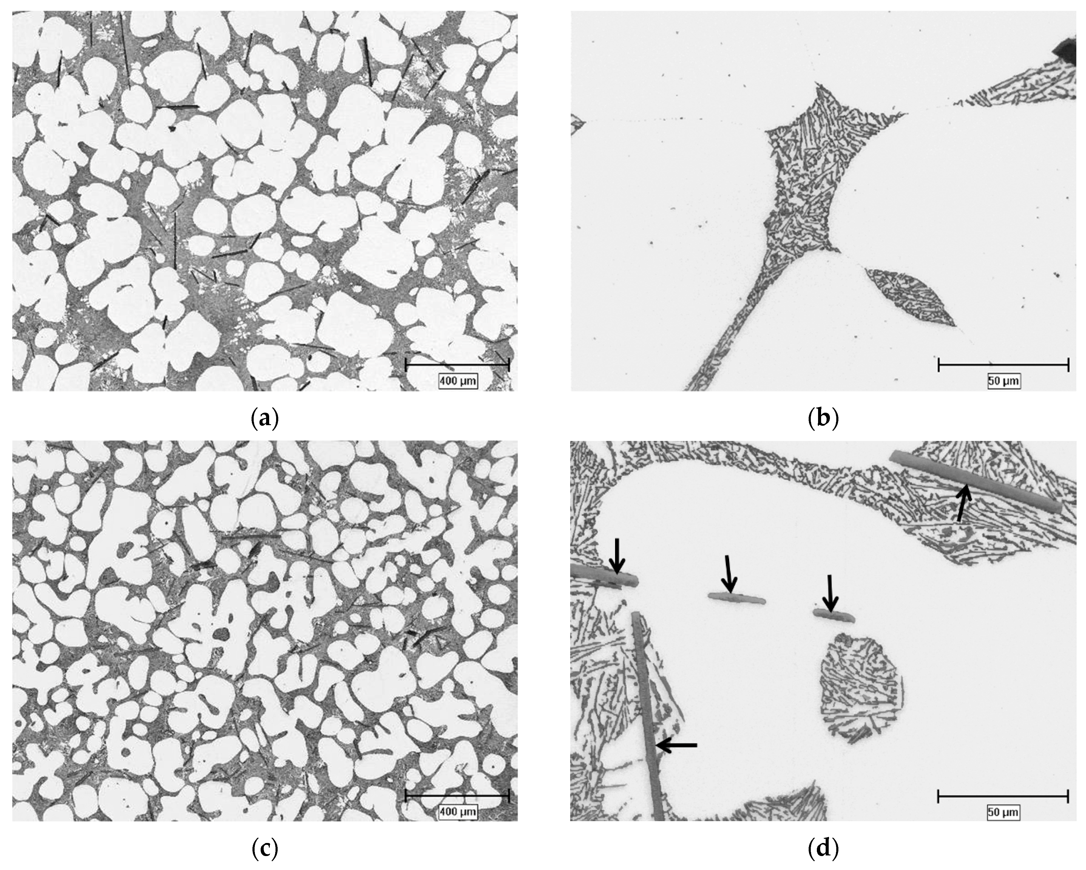 Metals 09 00488 g003